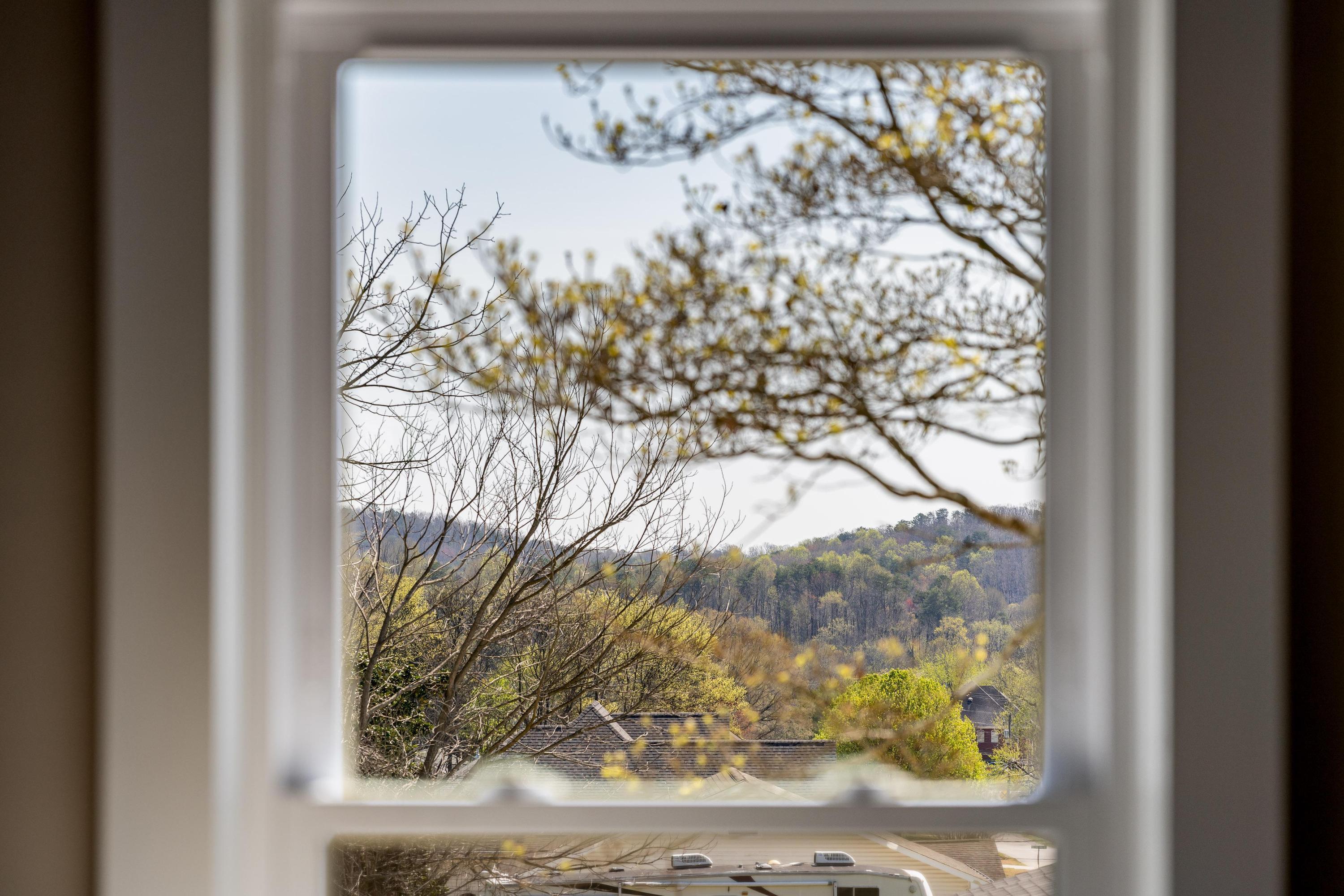 227 Cox Lane, Soddy Daisy, Tennessee image 30