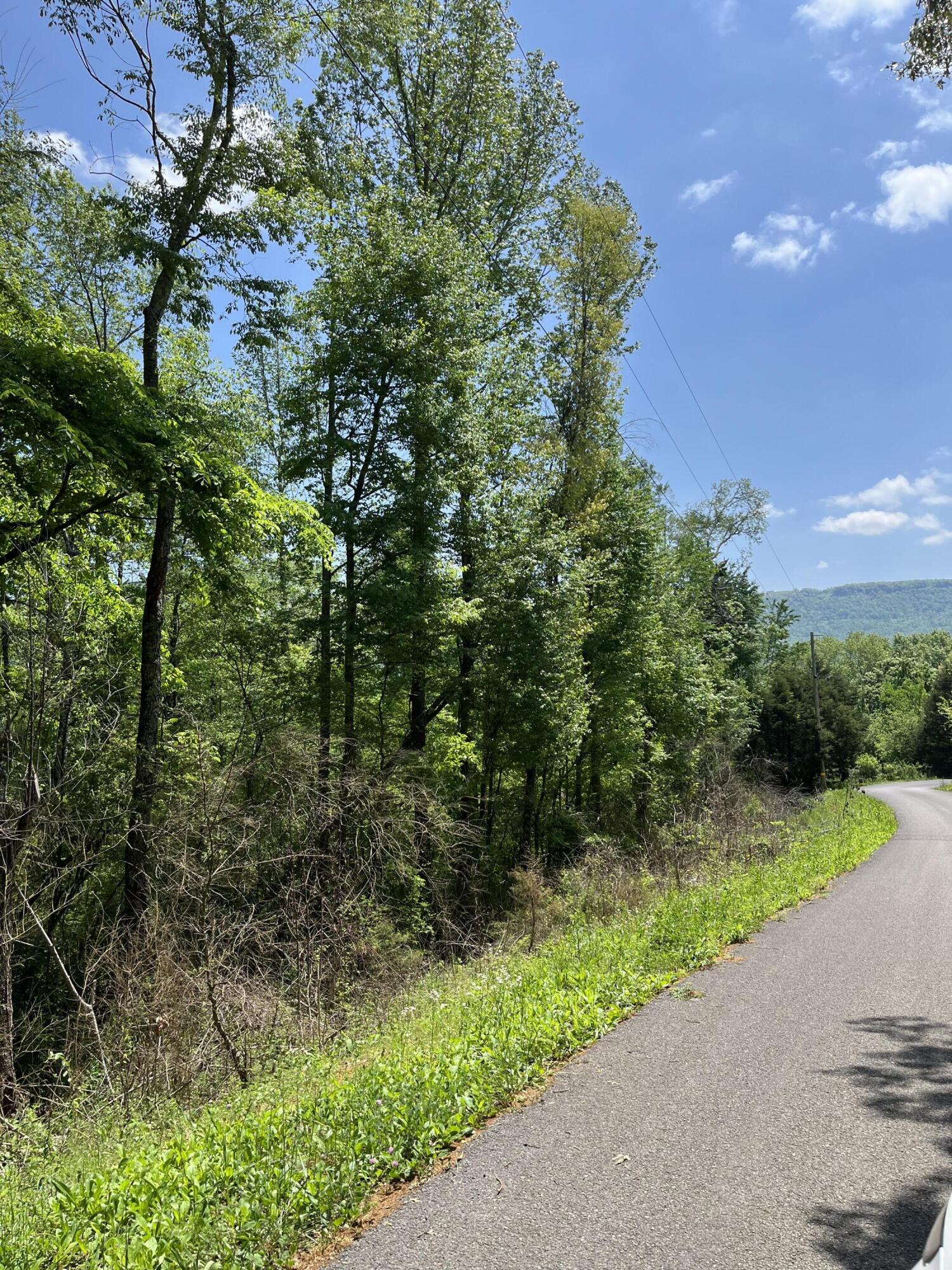 Lot 17 Jack Smith Road, Dunlap, Tennessee image 1