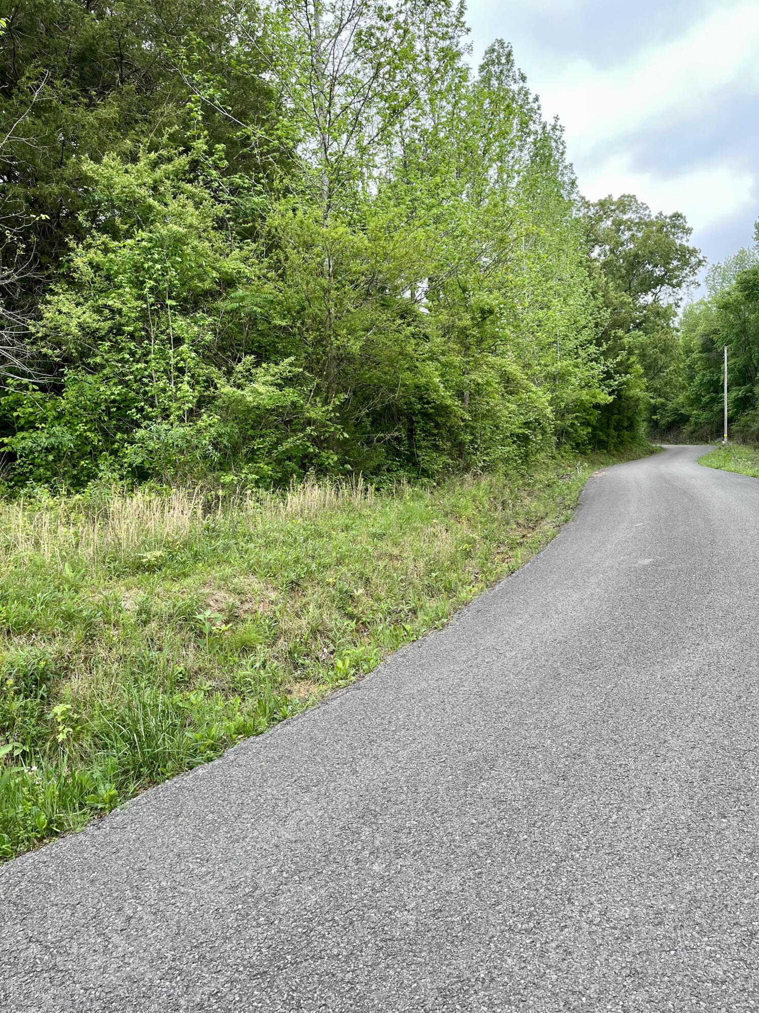 Lot 17 Jack Smith Road, Dunlap, Tennessee image 2