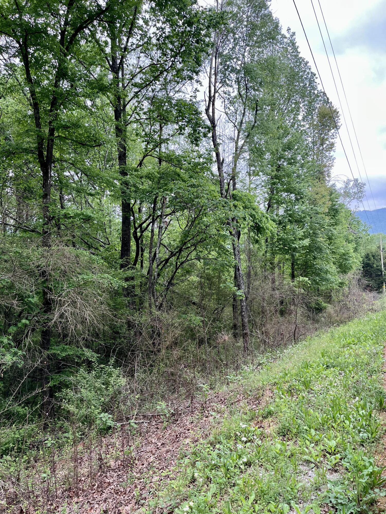 Lot 17 Jack Smith Road, Dunlap, Tennessee image 3