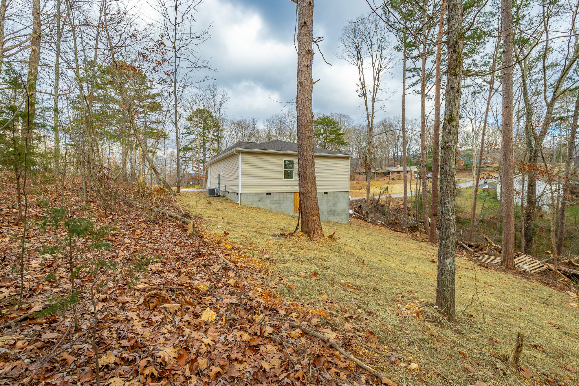 287 Dogwood Lane, Dunlap, Tennessee image 41