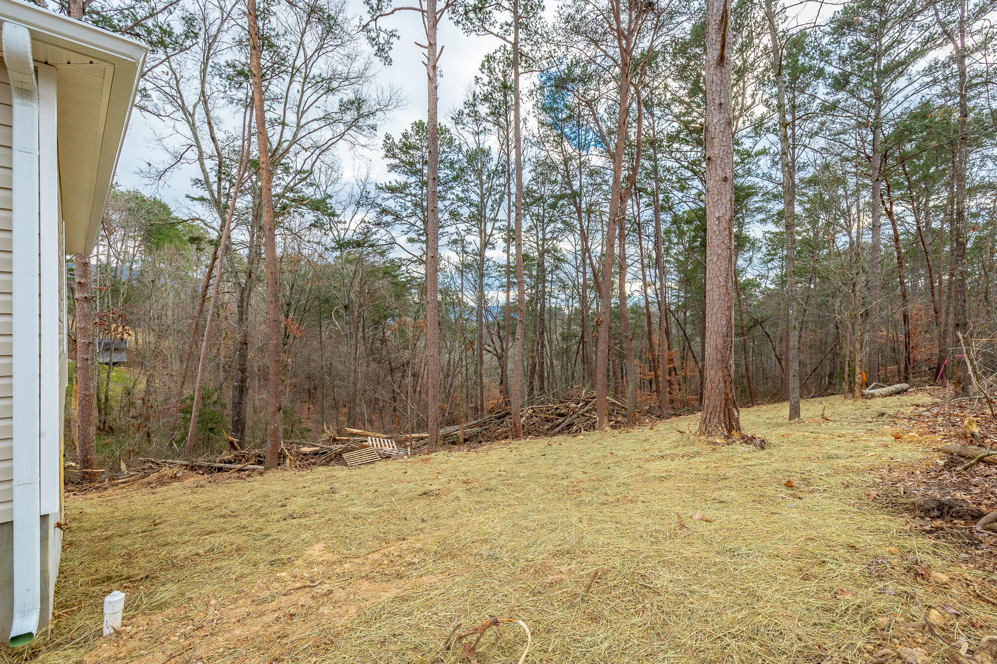 287 Dogwood Lane, Dunlap, Tennessee image 37