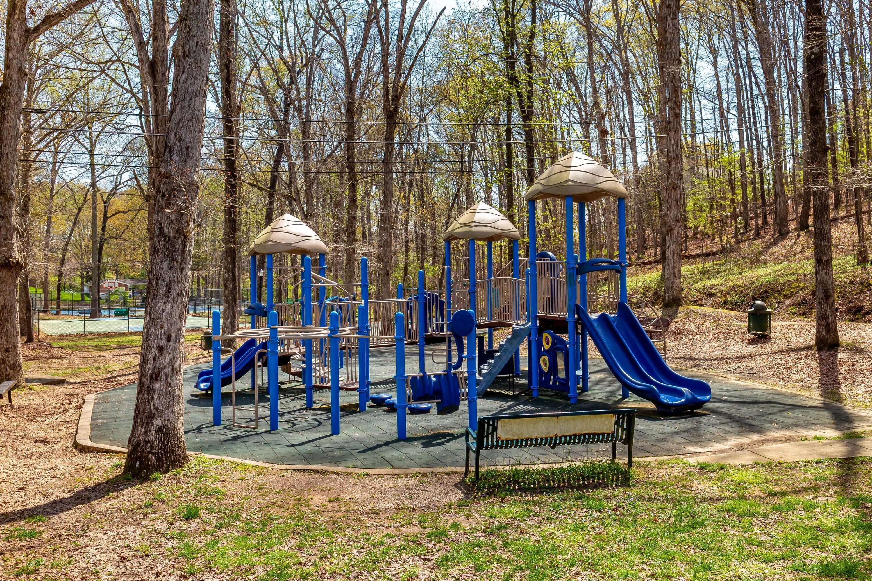 2221 Collins Lane, Soddy Daisy, Tennessee image 34