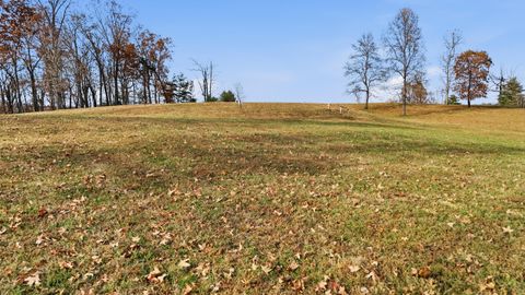 Vacant Land For Sale - 150 Quail Hollow Cove<br/> Spring City, TN 37381