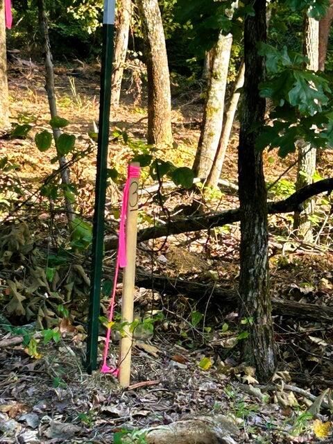 Tiny photo for Tract 3 Pleasant Hill Road, Ten Mile, TN 37880 (MLS # 1530413)