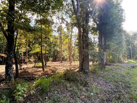 Tiny photo for Tract 3 Pleasant Hill Road, Ten Mile, TN 37880 (MLS # 1530413)