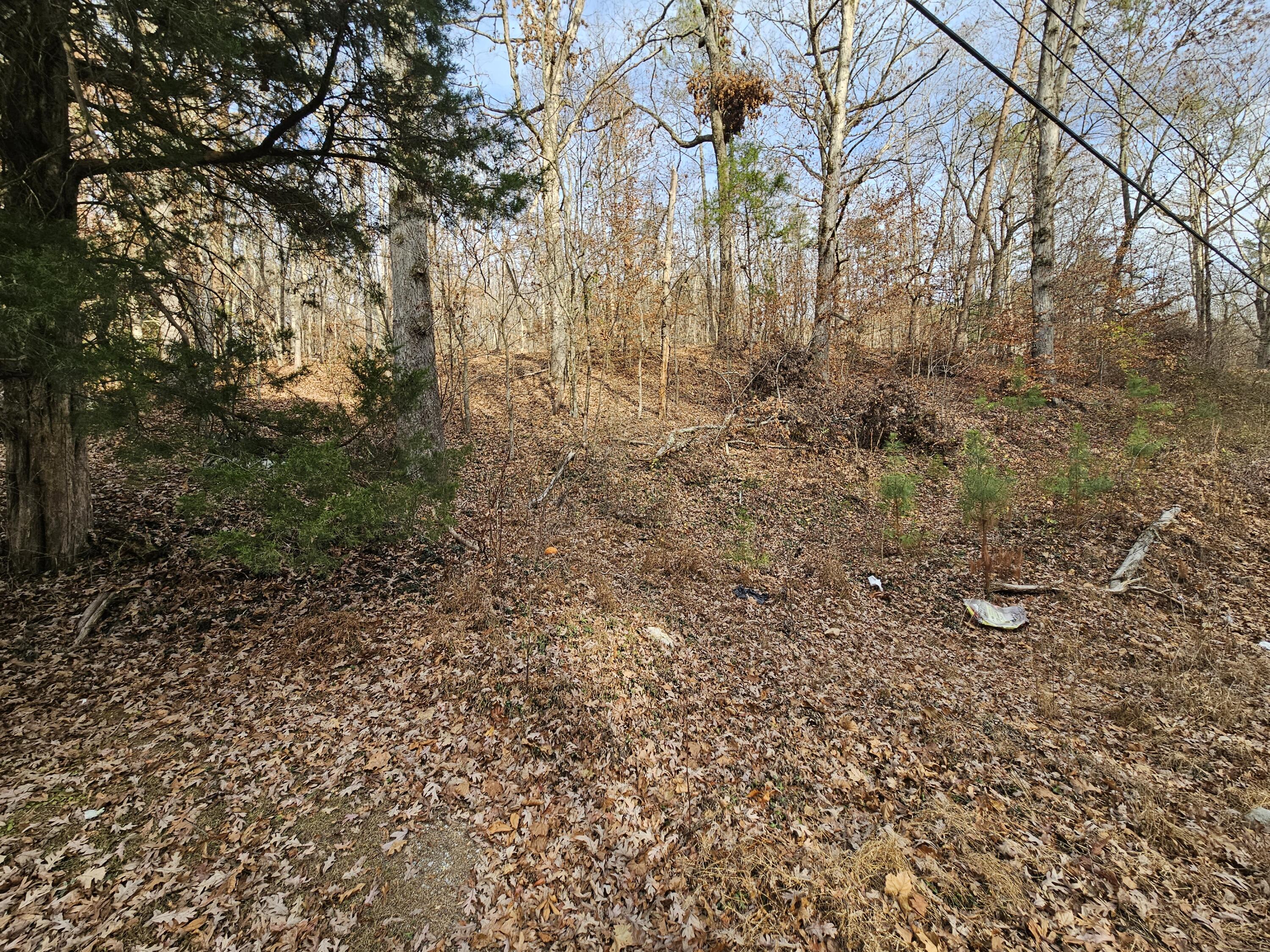Lot 7 Smyrna Road, Evensville, Tennessee image 1