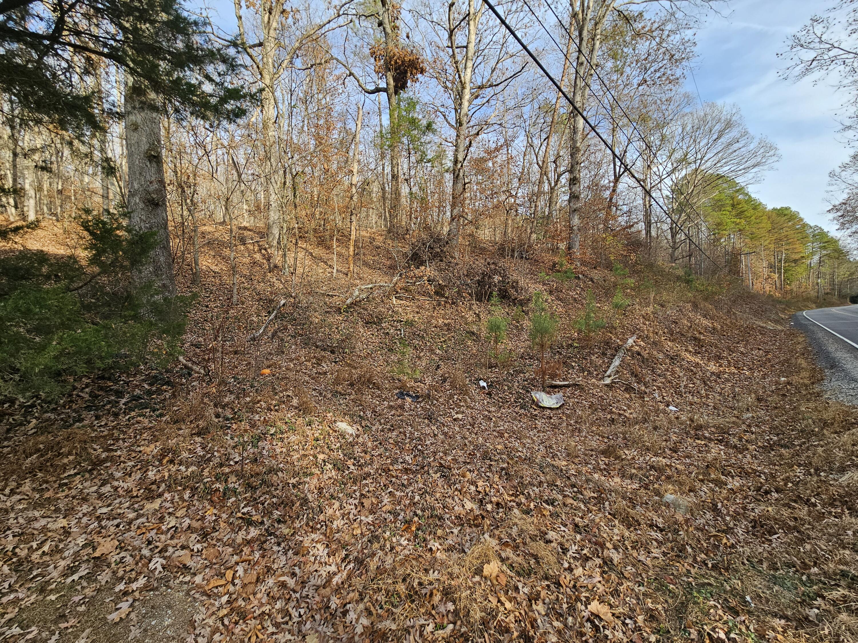 Lot 7 Smyrna Road, Evensville, Tennessee image 2