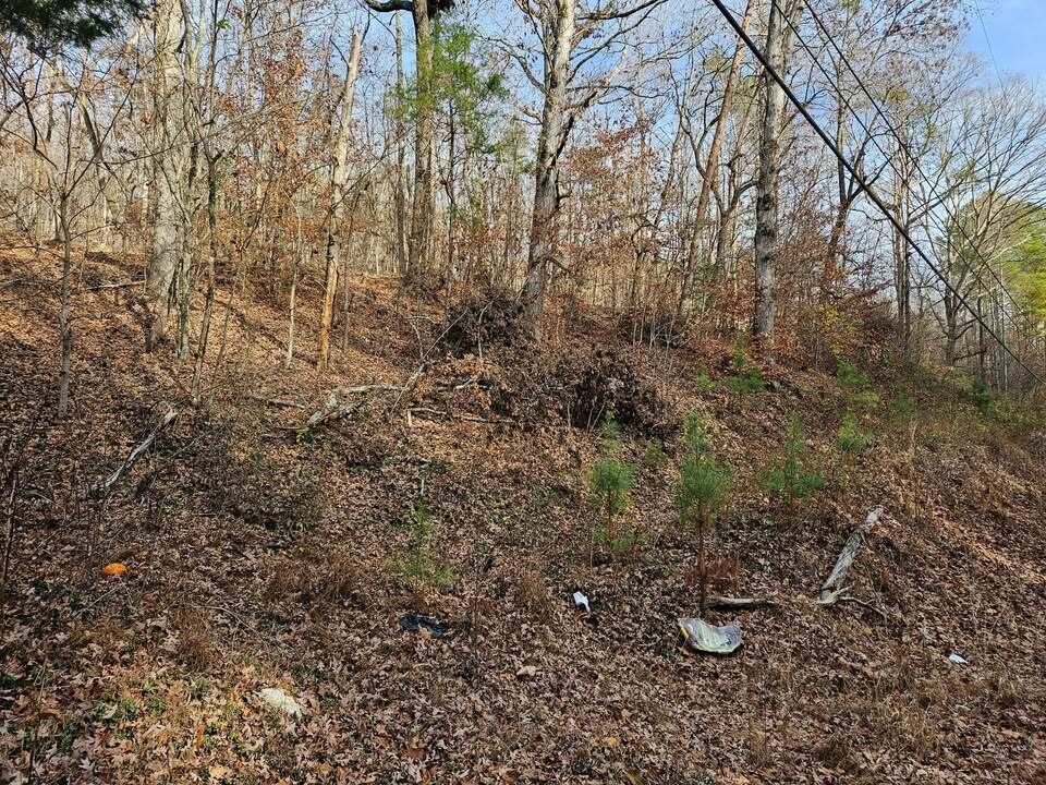 Lot 7 Smyrna Road, Evensville, Tennessee image 4