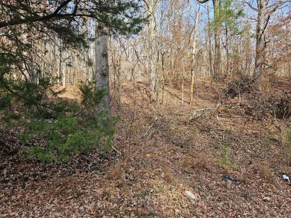 Lot 7 Smyrna Road, Evensville, Tennessee image 7