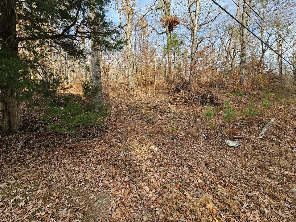 Lot 7 Smyrna Road, Evensville, Tennessee image 8