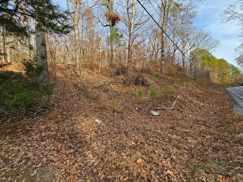 Lot 7 Smyrna Road, Evensville, Tennessee image 6