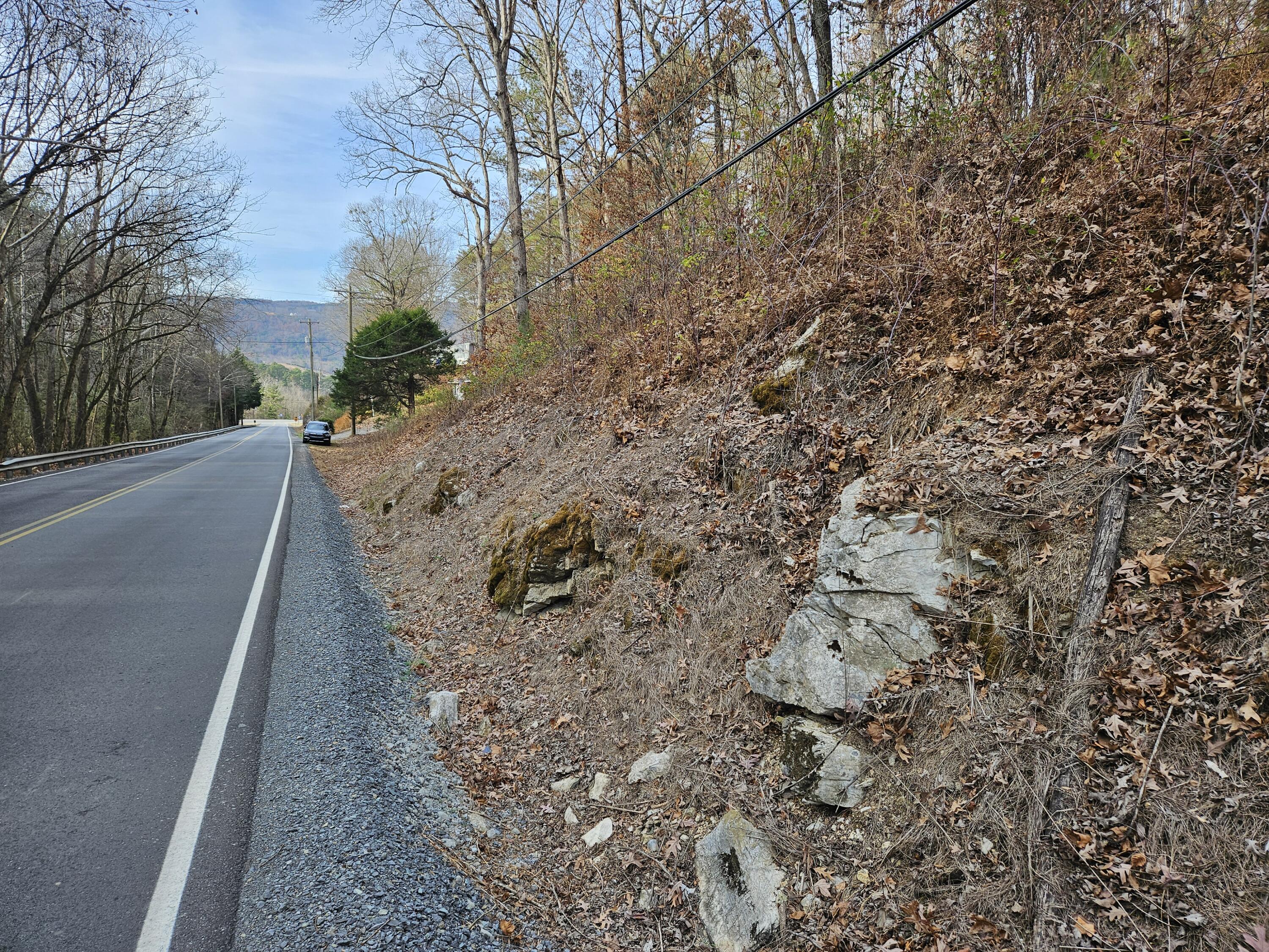 Lot 7 Smyrna Road, Evensville, Tennessee image 3