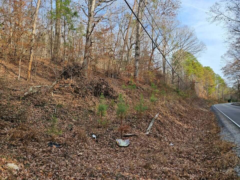 Lot 7 Smyrna Road, Evensville, Tennessee image 5