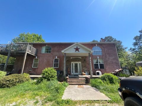 Photo of 328 Burdette Chapel Lane, Birchwood, TN 37308 (MLS # 1533593)