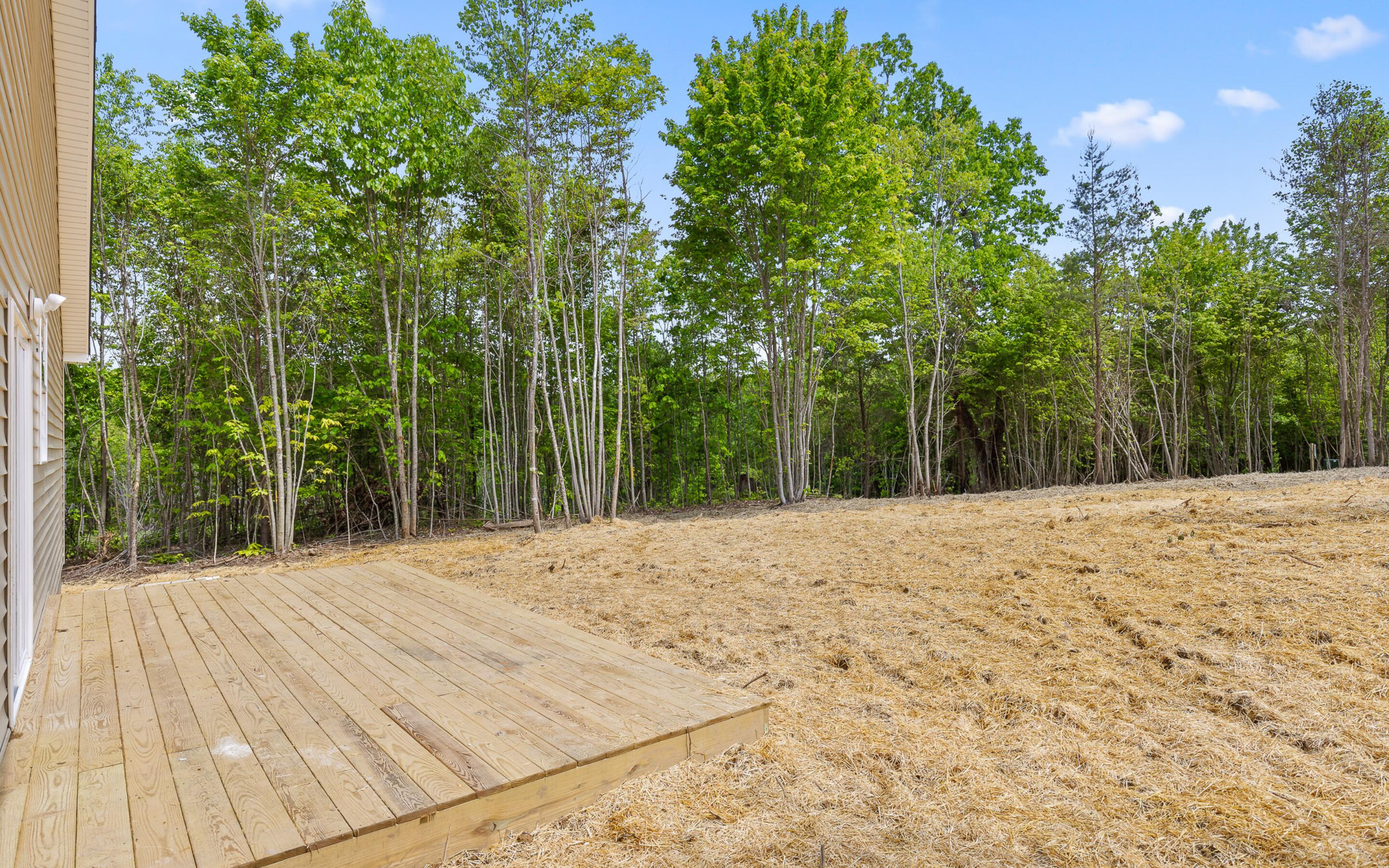 226 Grayson Way, Signal Mountain, Tennessee image 23