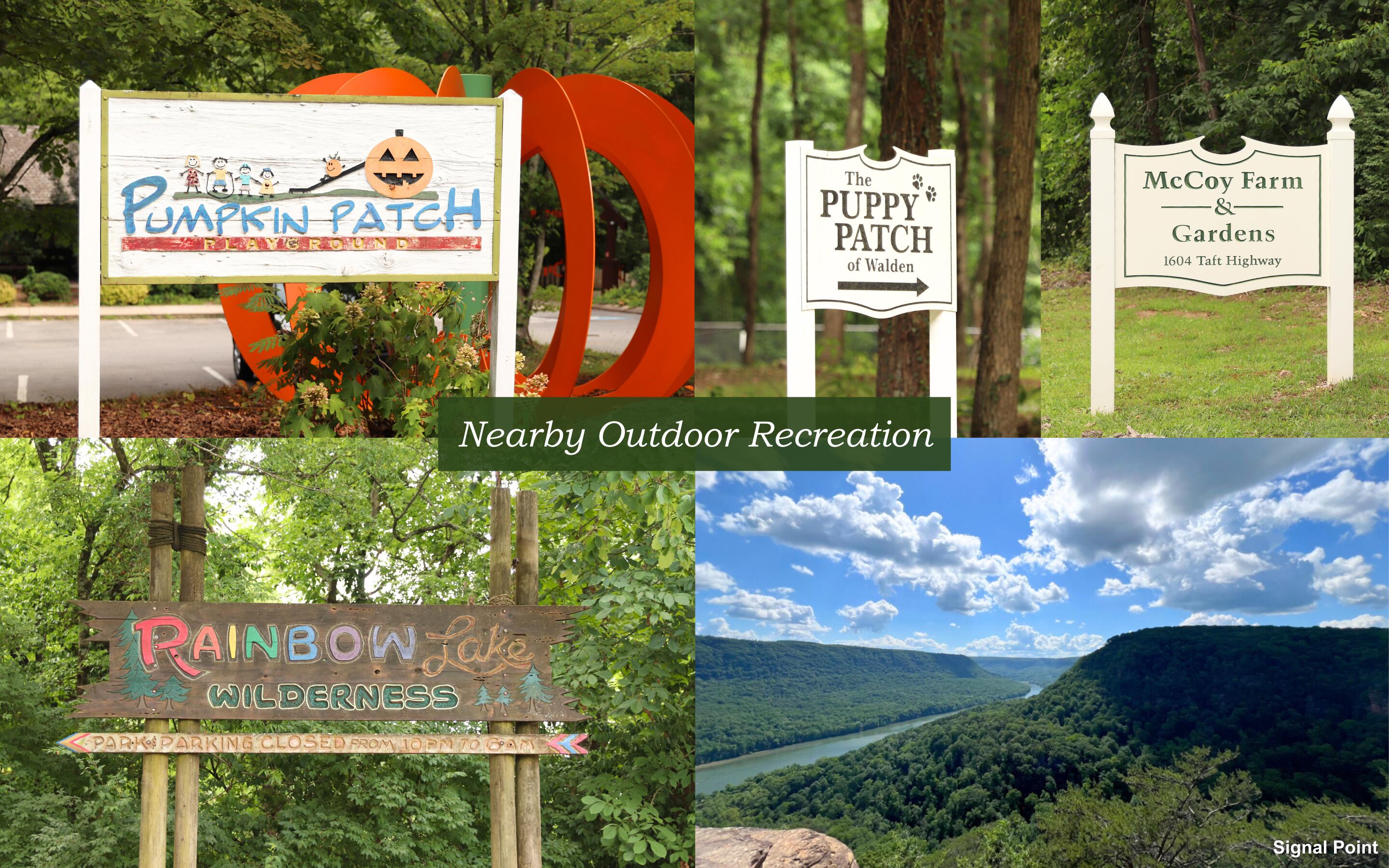 226 Grayson Way, Signal Mountain, Tennessee image 29