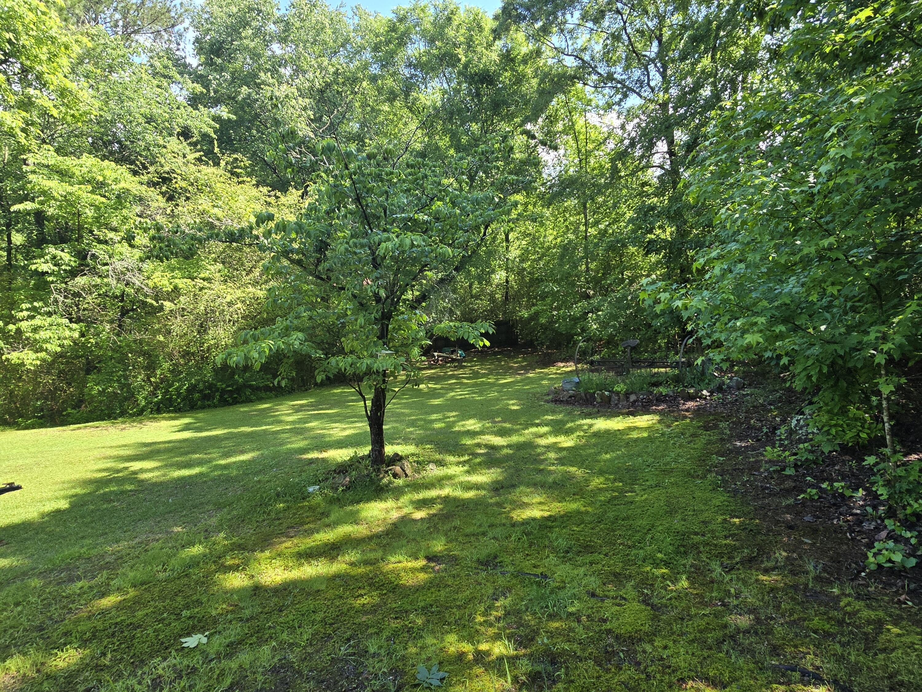 1254 Mahan Road, Summerville, Georgia image 6