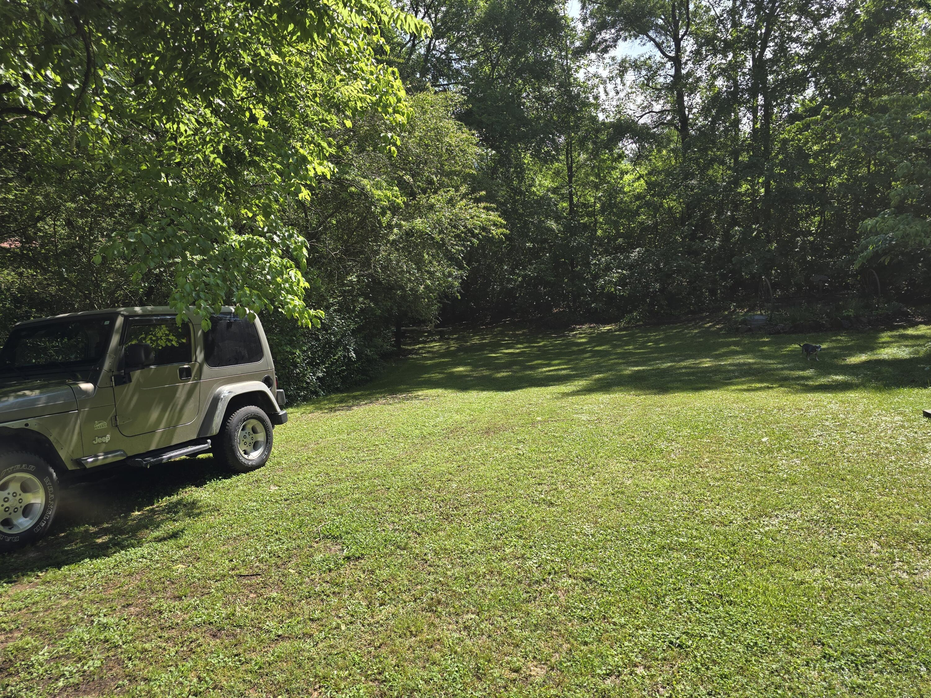 1254 Mahan Road, Summerville, Georgia image 34