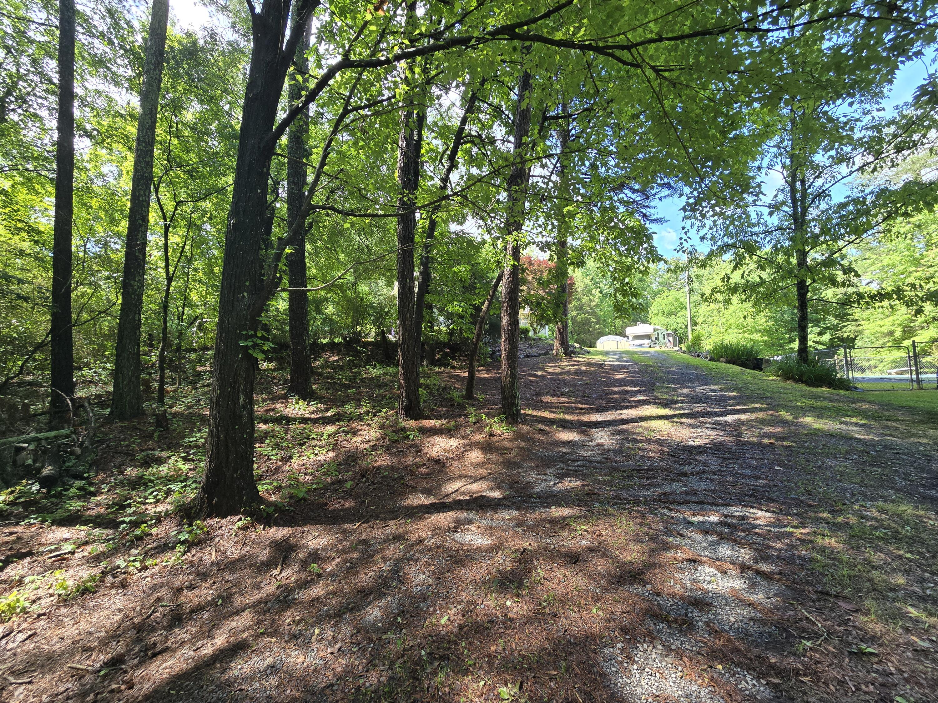 1254 Mahan Road, Summerville, Georgia image 8
