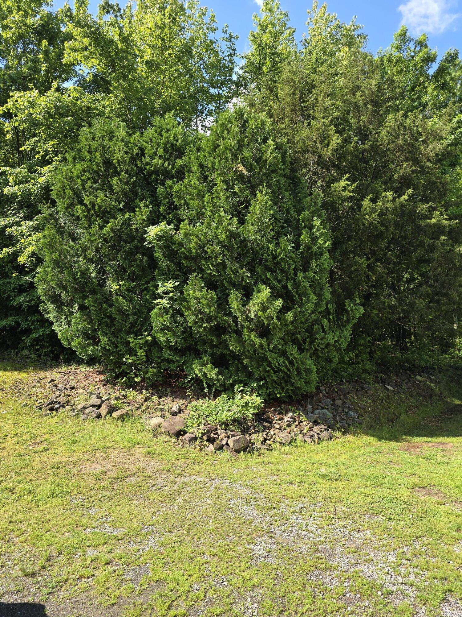 1254 Mahan Road, Summerville, Georgia image 29