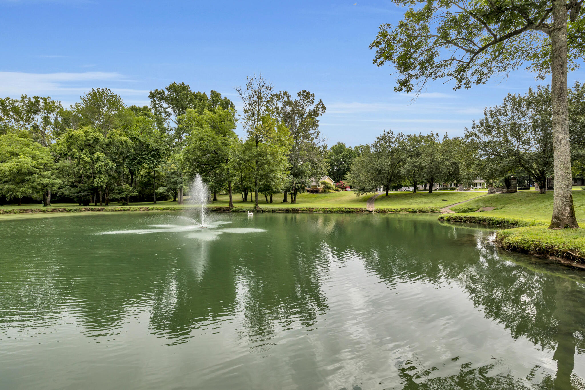 Cleveland, Tennessee 37311, United States, 6 Bedrooms Bedrooms, ,6 BathroomsBathrooms,Residential,Active,165673