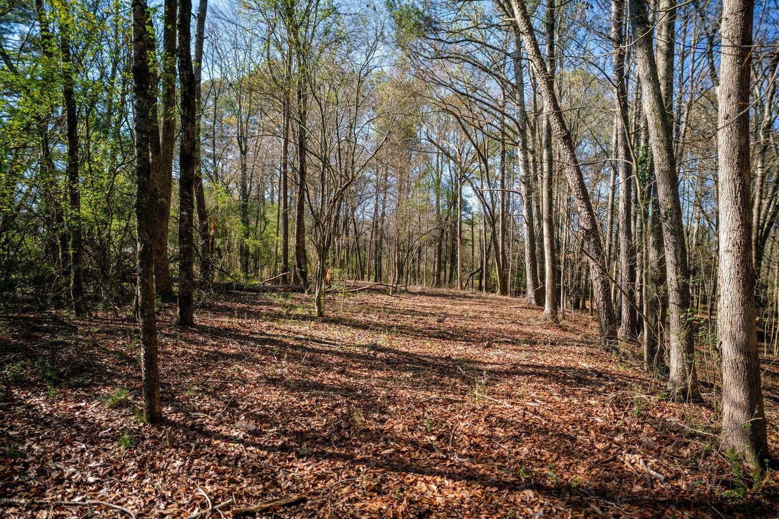 113 Ireland Lane, Chickamauga, Georgia image 31