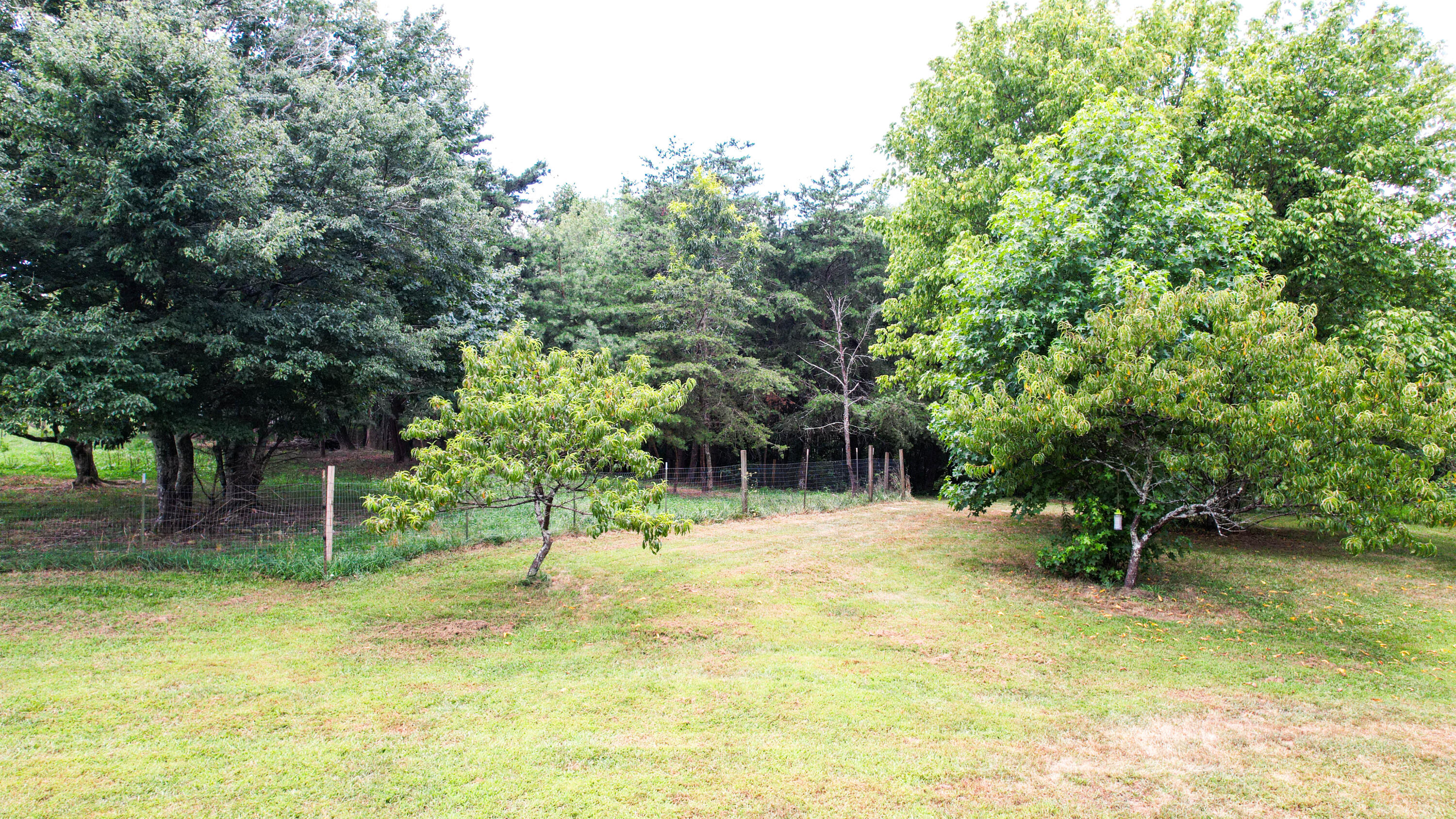 Trenton, Georgia 30752, United States, ,Land,Active,186607 Trenton, Georgia 30752, United States, ,Land,Active,186607