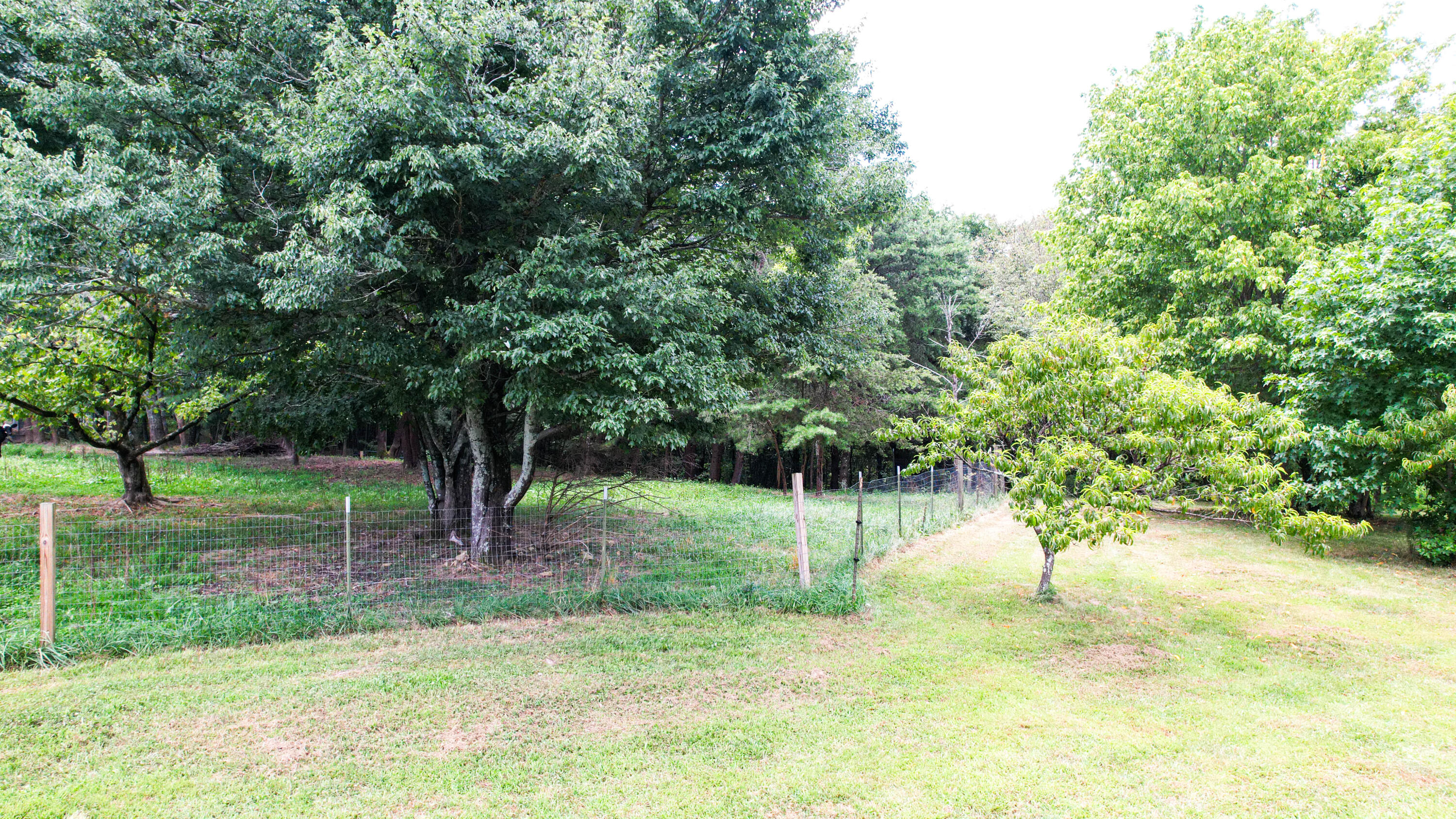 Trenton, Georgia 30752, United States, ,Land,Active,186607