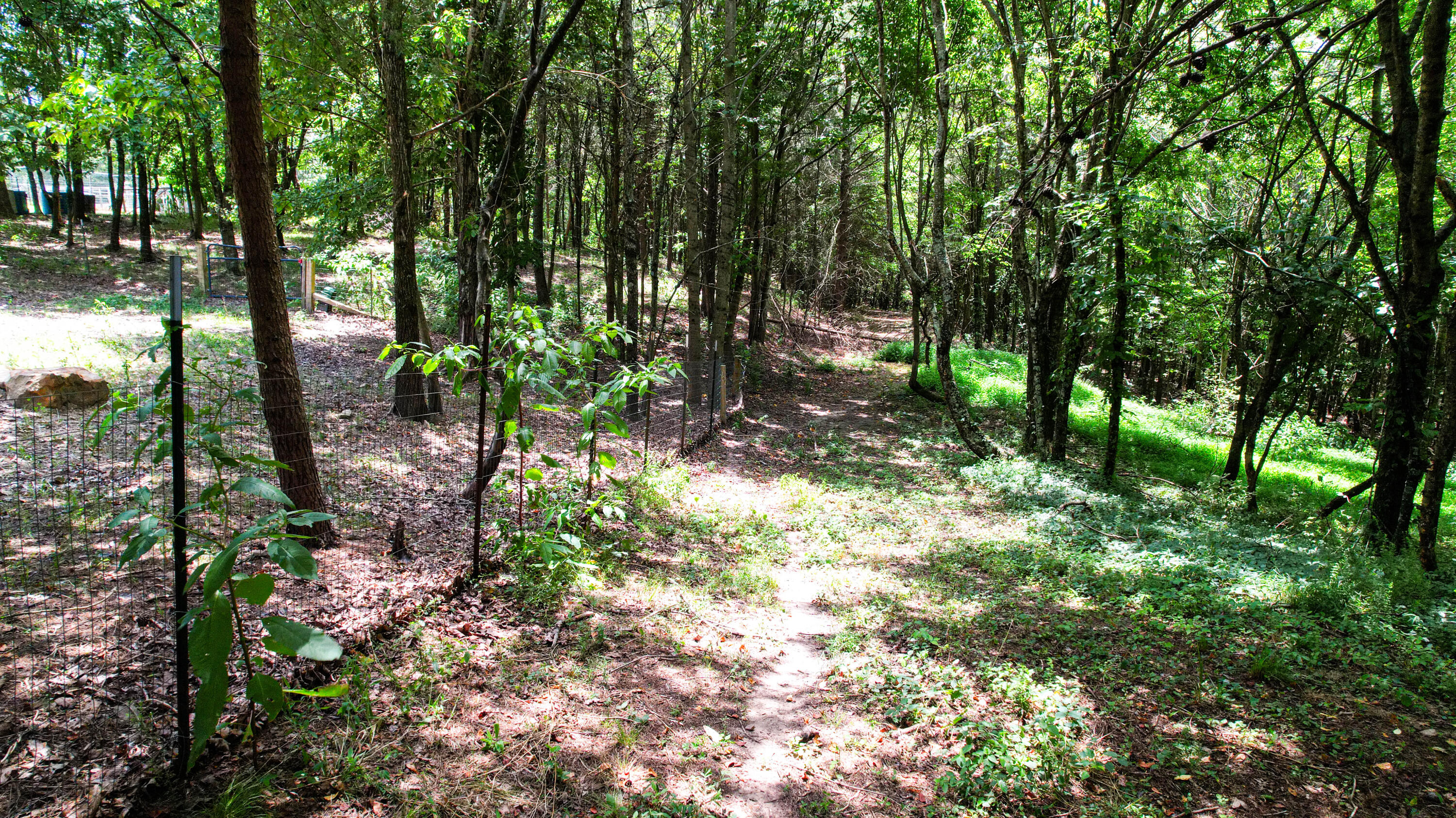 Trenton, Georgia 30752, United States, ,Land,Active,186607