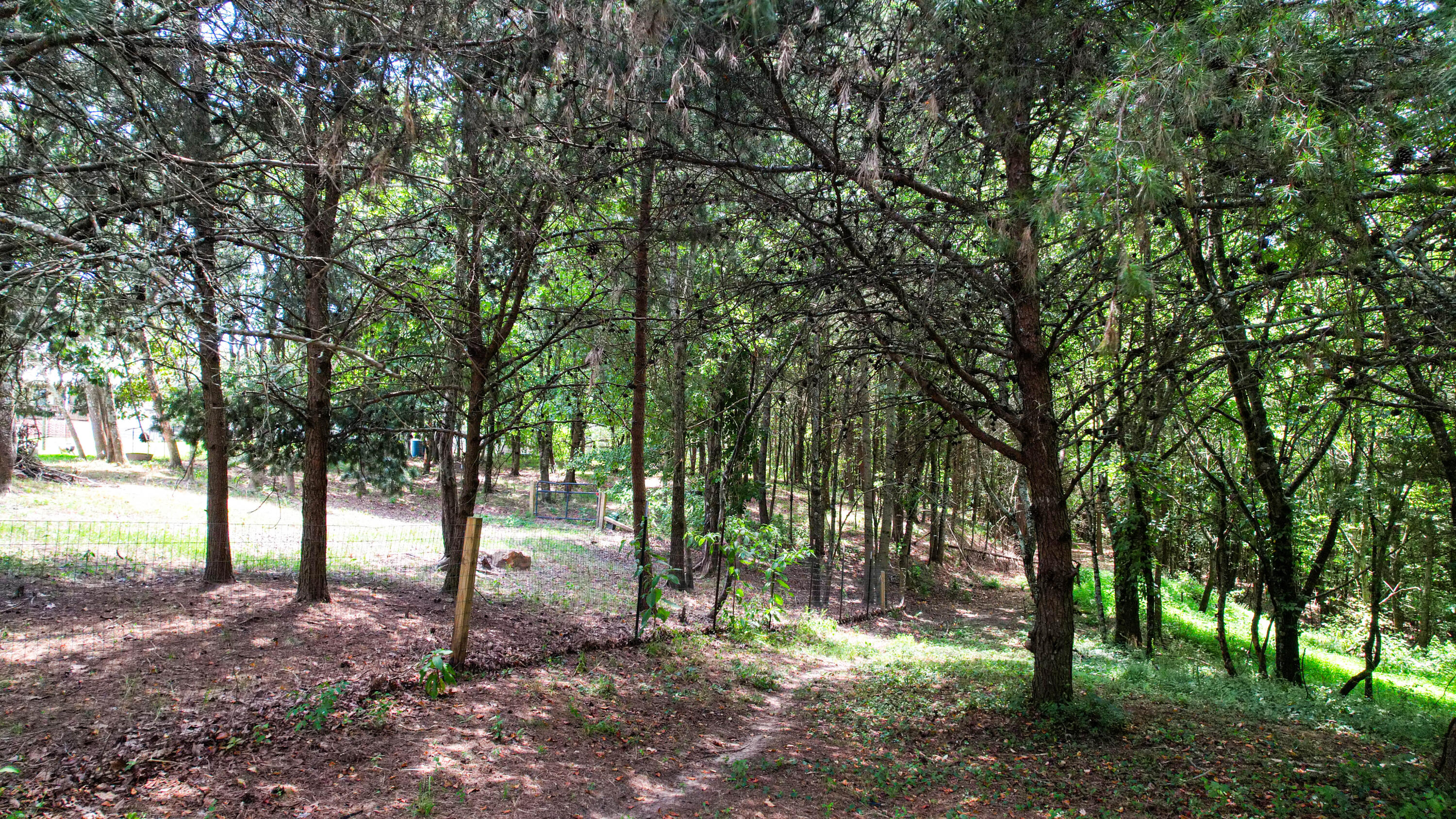 Trenton, Georgia 30752, United States, ,Land,Active,186607