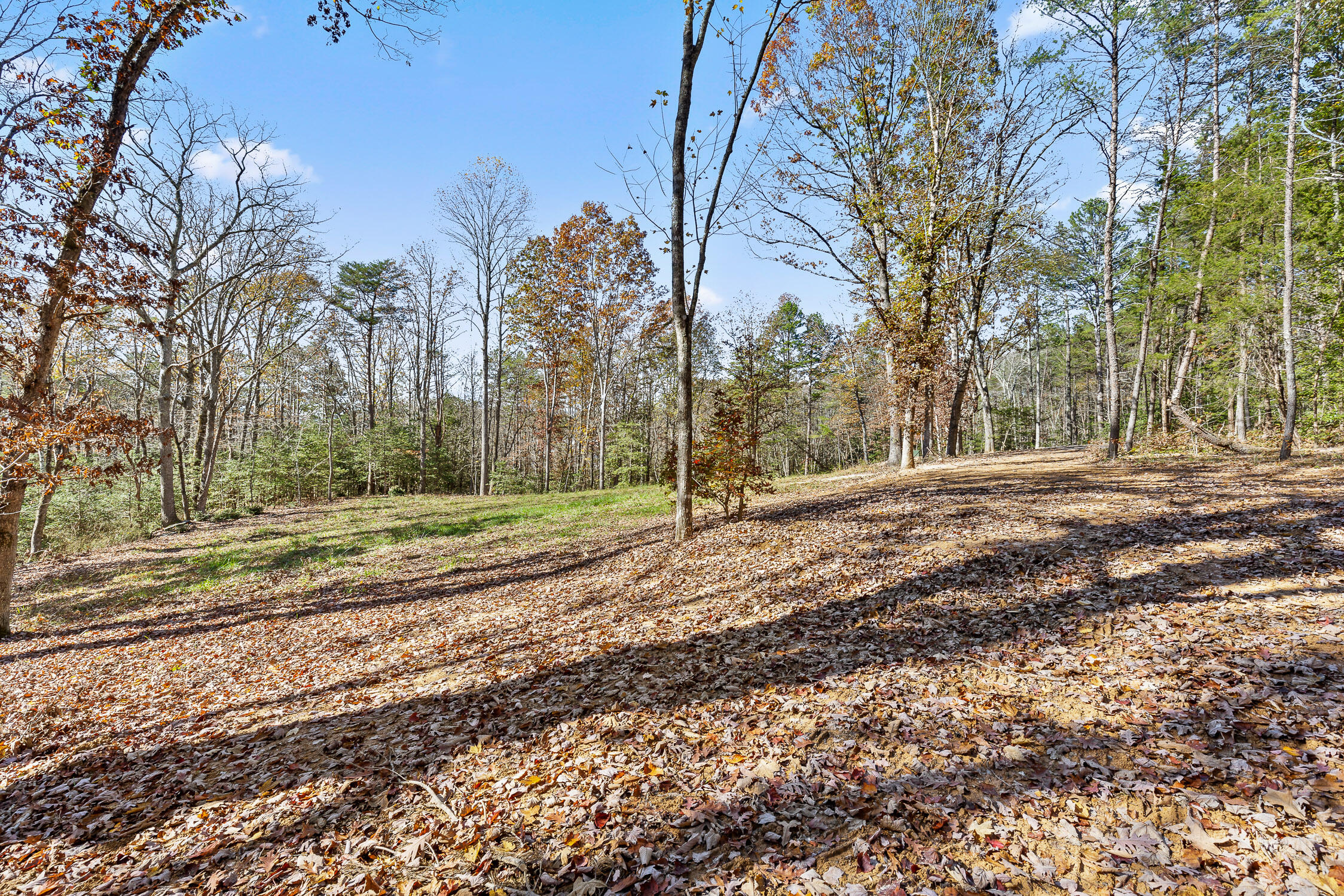 1813 Vandergriff Road, Signal Mountain, Tennessee image 9