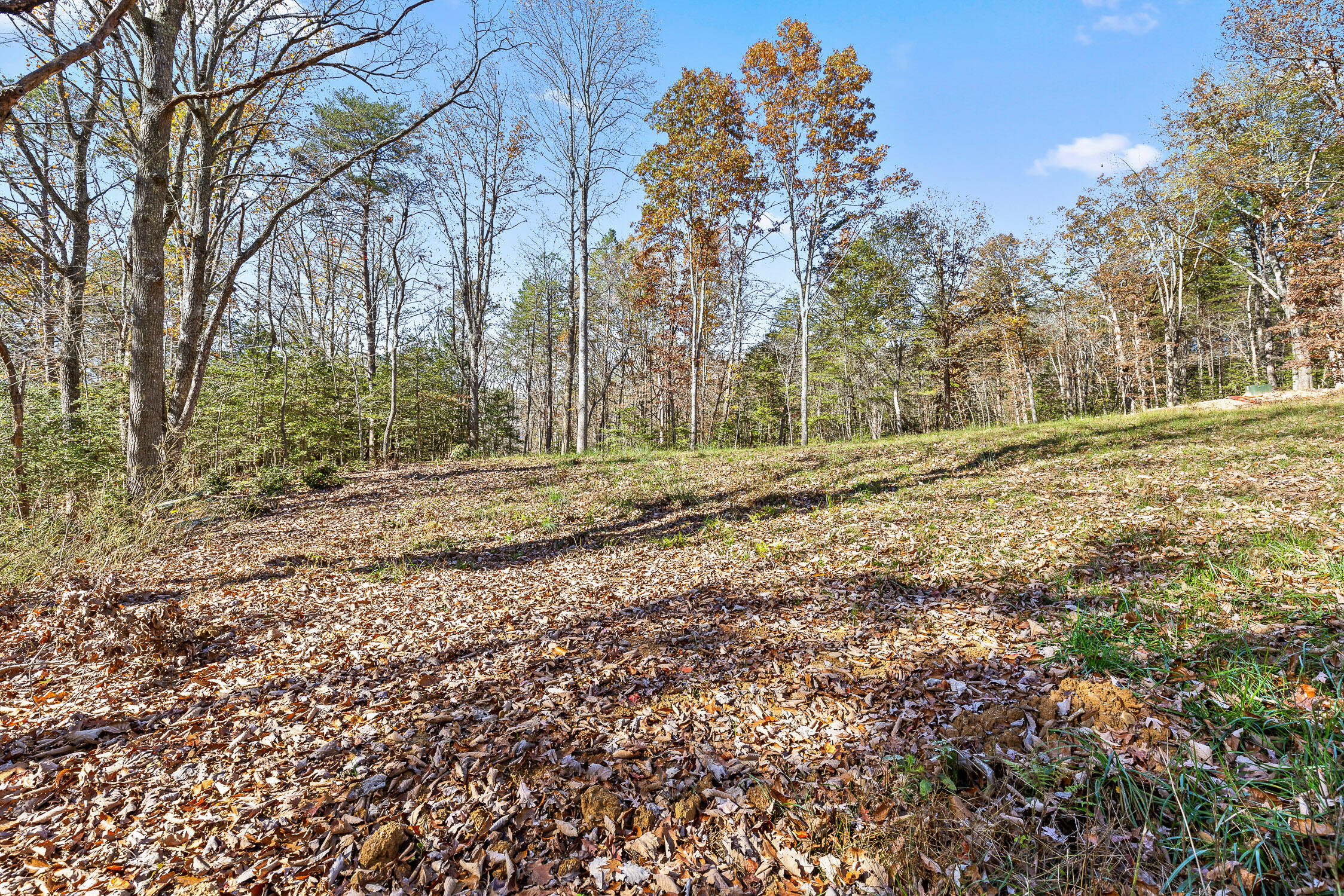 1813 Vandergriff Road, Signal Mountain, Tennessee image 11