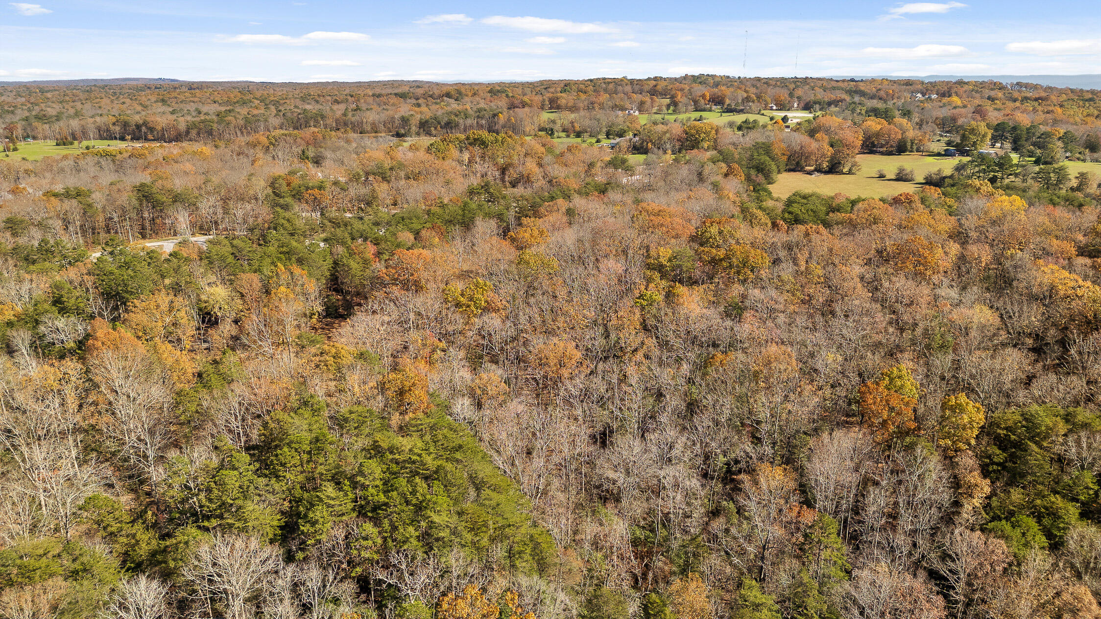 1813 Vandergriff Road, Signal Mountain, Tennessee image 30