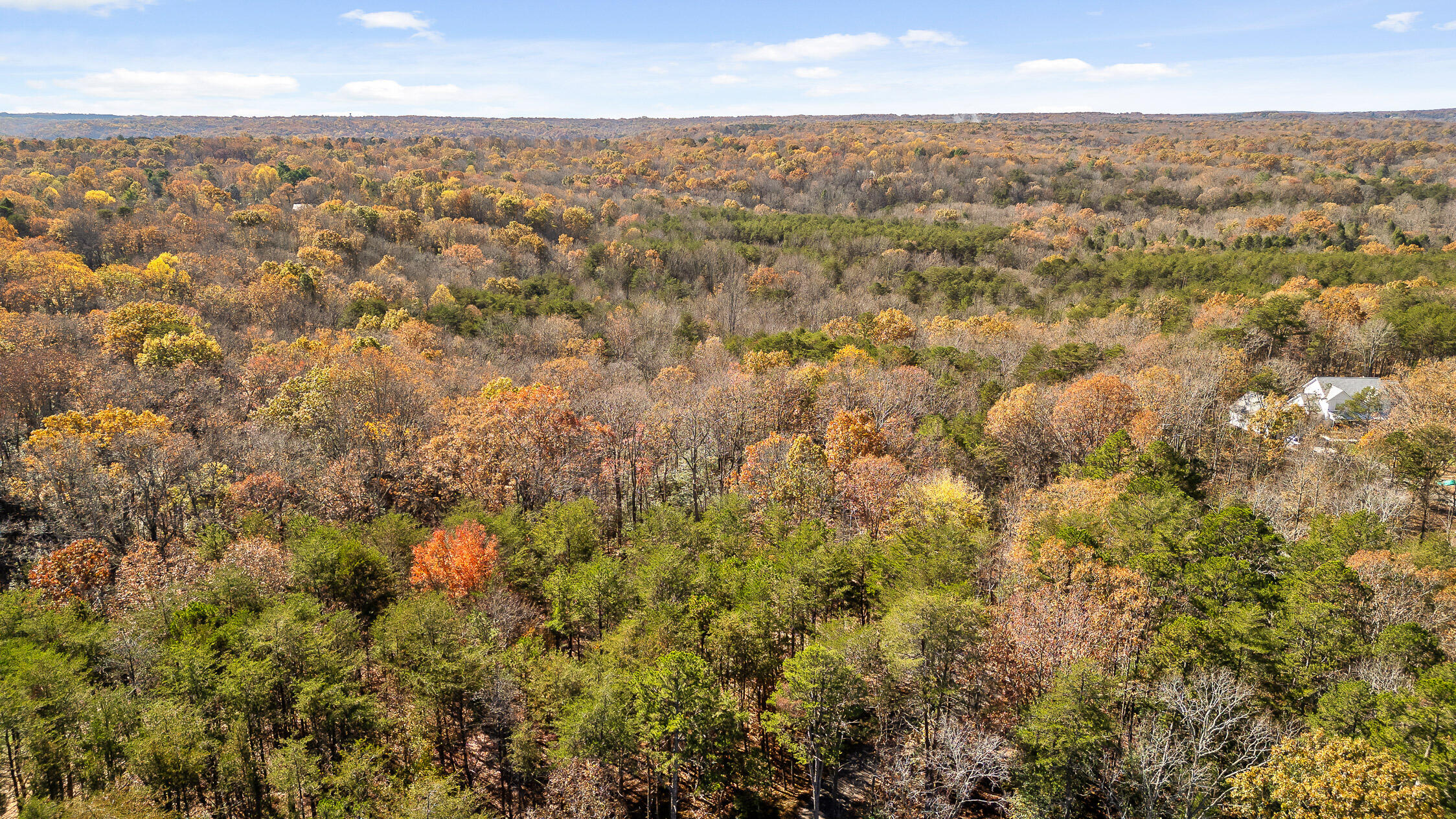 1813 Vandergriff Road, Signal Mountain, Tennessee image 28