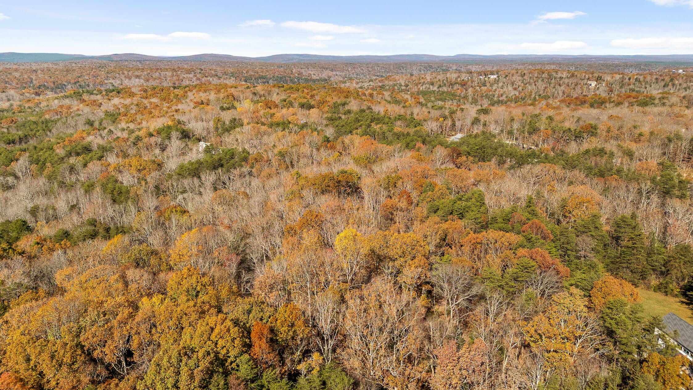 1813 Vandergriff Road, Signal Mountain, Tennessee image 36