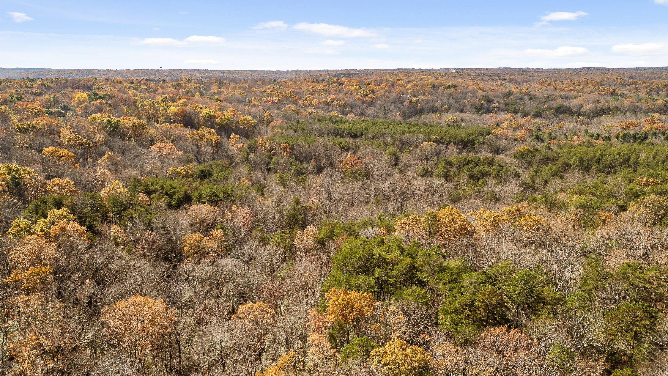 1813 Vandergriff Road, Signal Mountain, Tennessee image 29