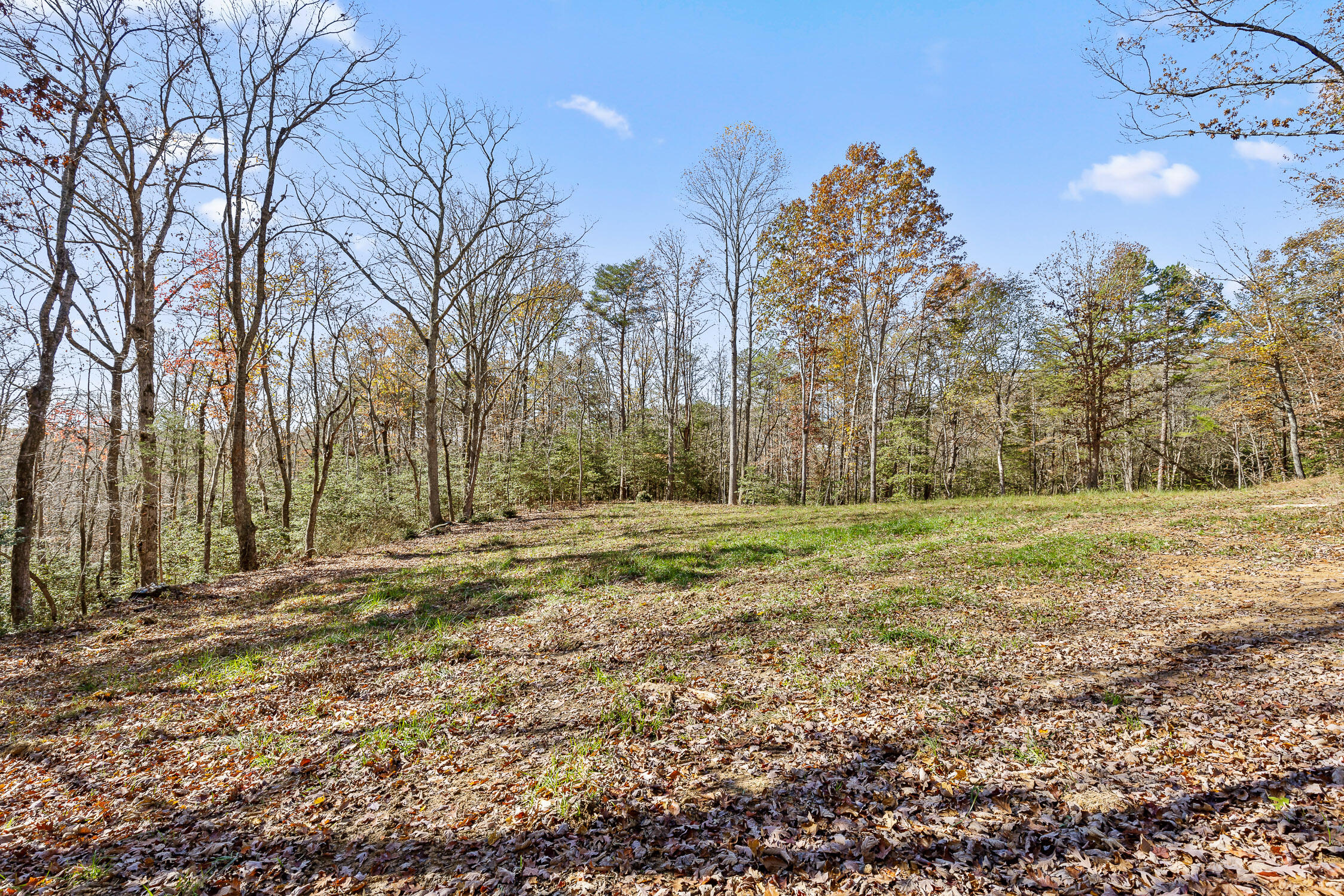 1813 Vandergriff Road, Signal Mountain, Tennessee image 10