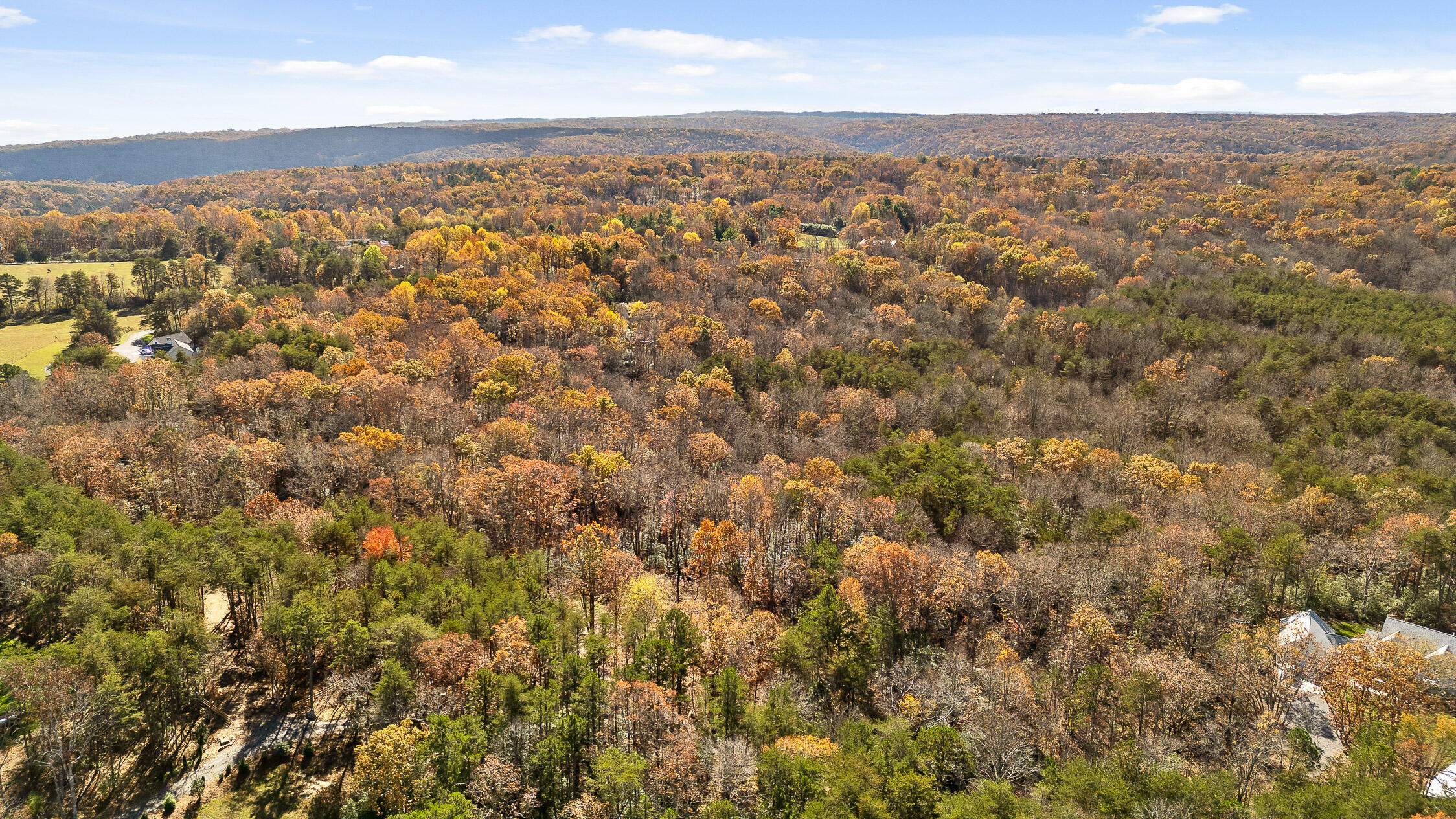 1813 Vandergriff Road, Signal Mountain, Tennessee image 27