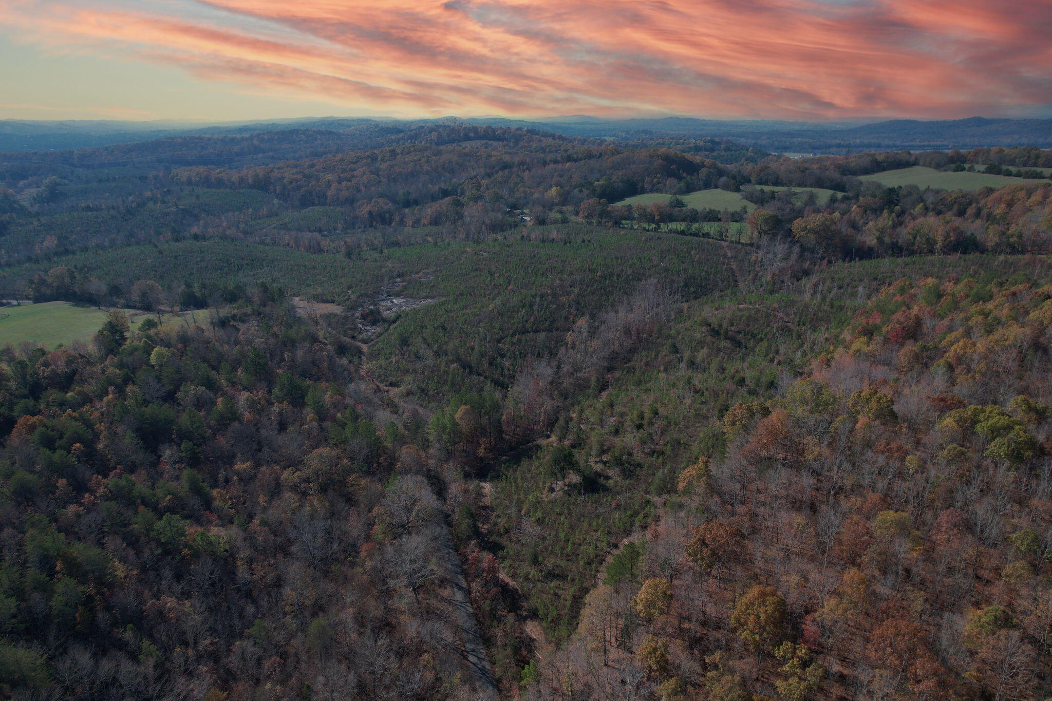 Big Sewee Lot 2 Road, Decatur, Tennessee image 5