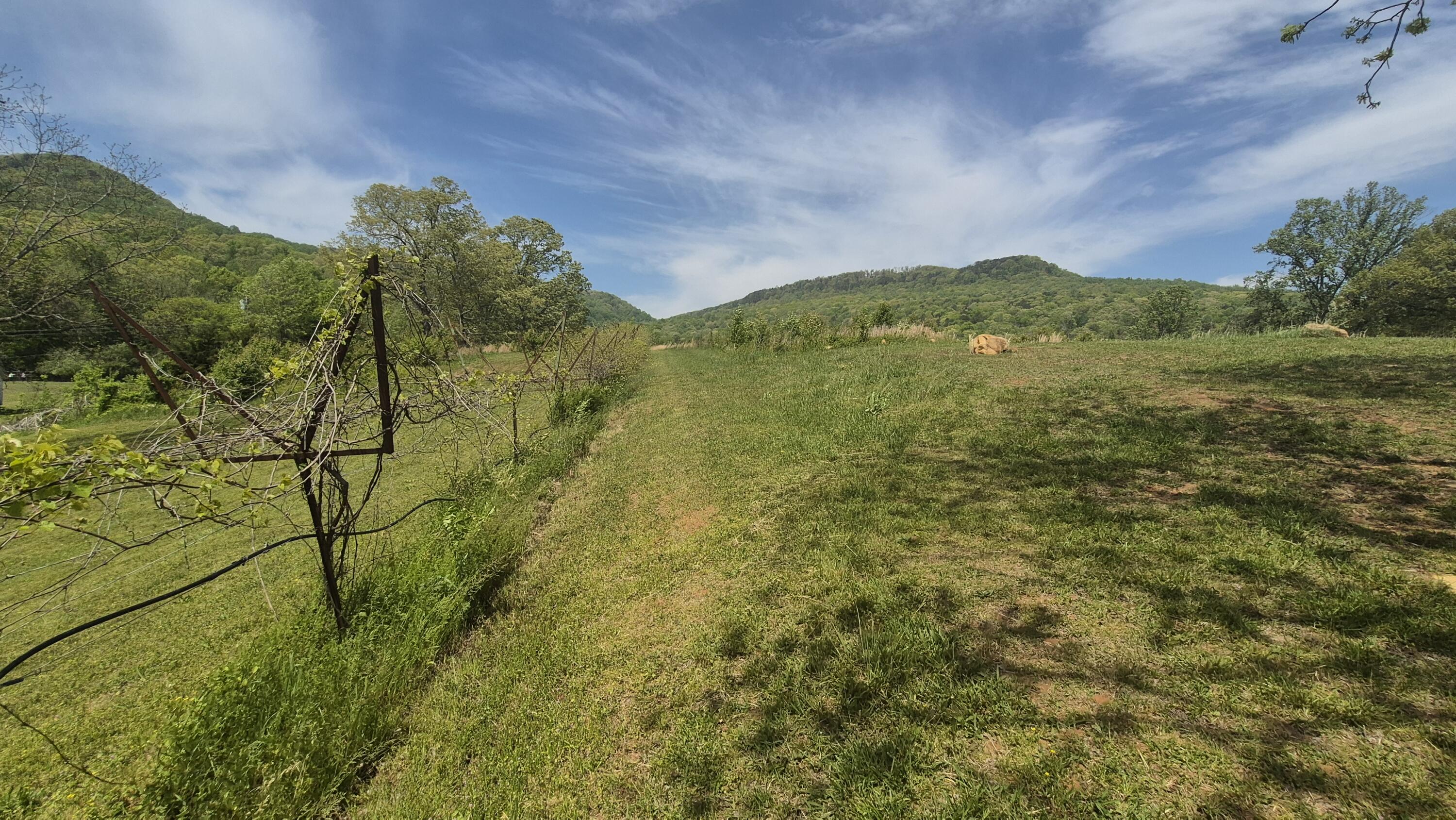 525-527 Shady Grove Road, Sequatchie, Tennessee image 13