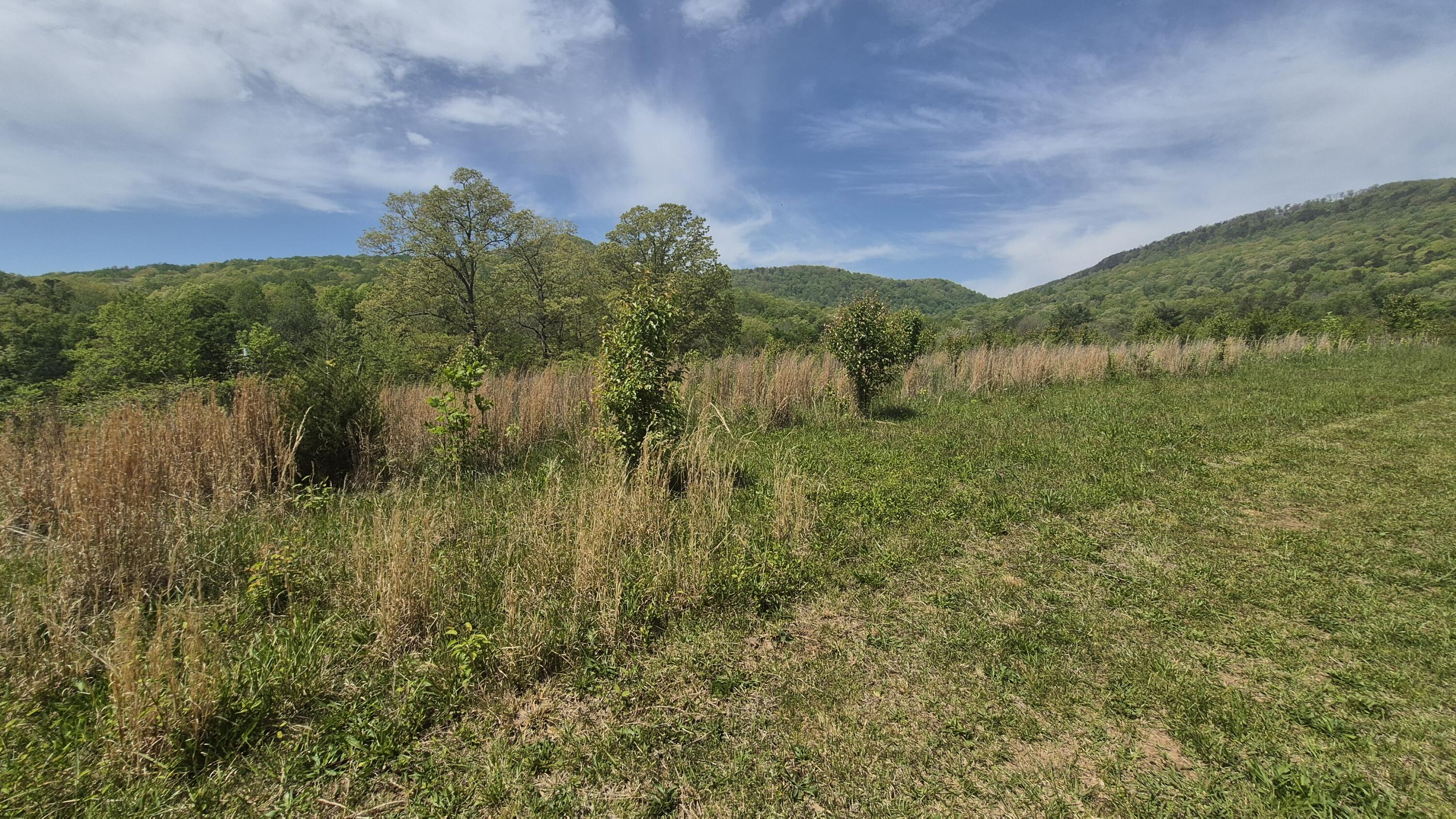 525-527 Shady Grove Road, Sequatchie, Tennessee image 11