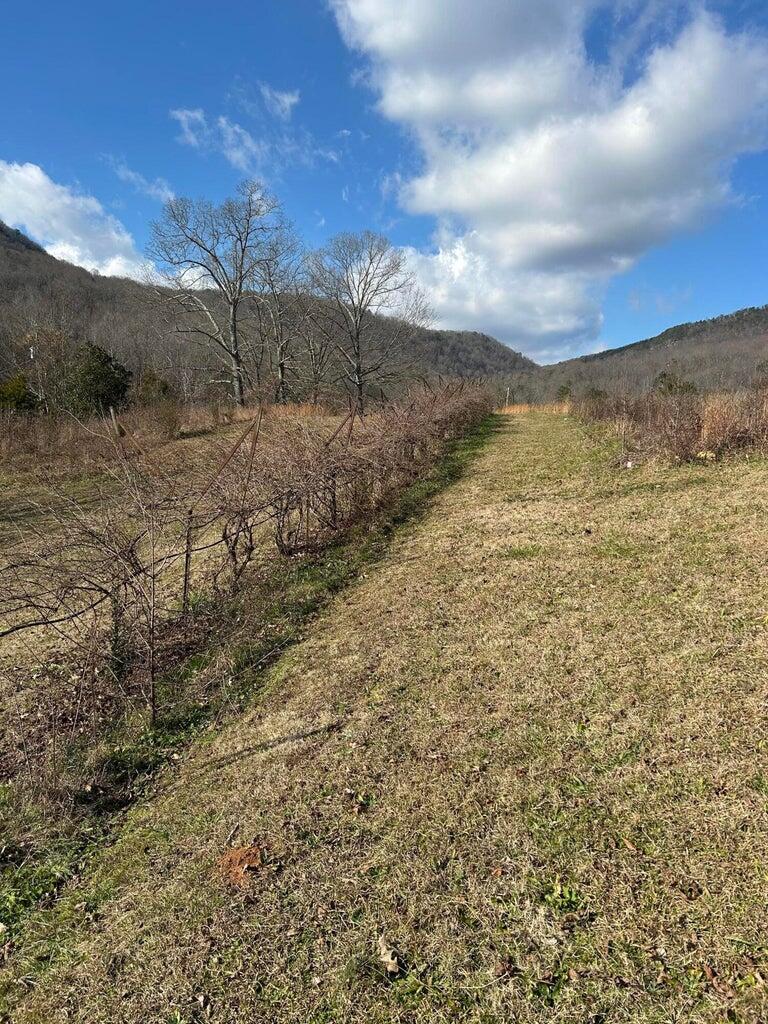 525-527 Shady Grove Road, Sequatchie, Tennessee image 14