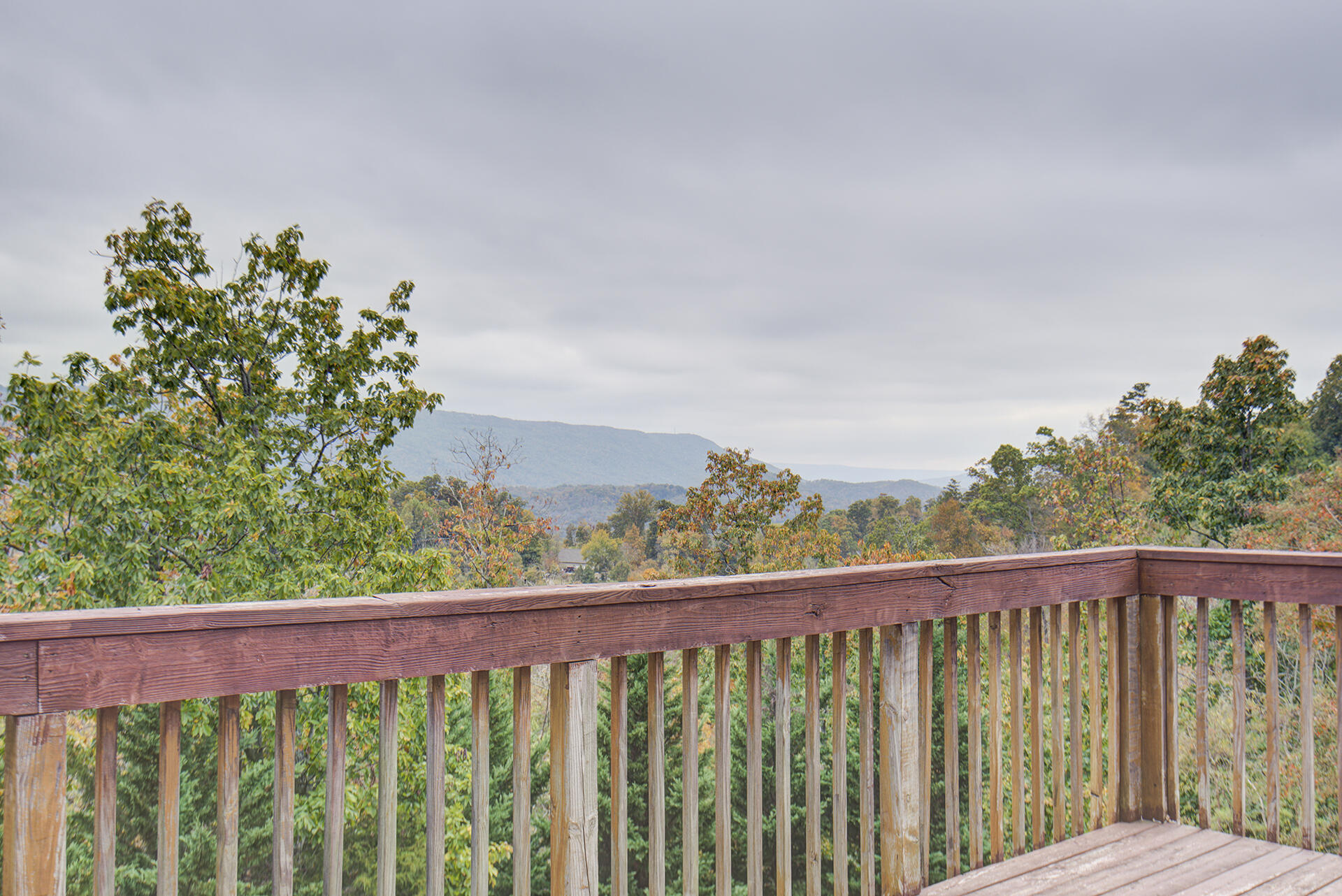 263 Tanglewood Trail, Trenton, Georgia image 13