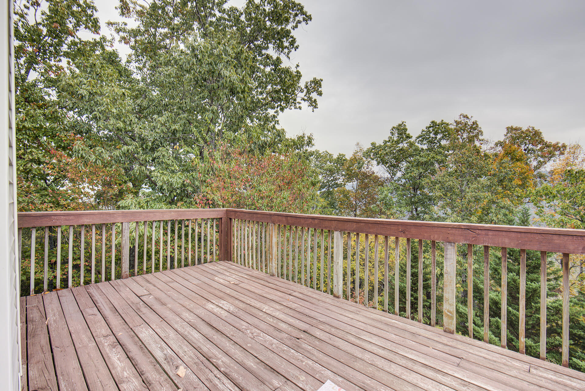 263 Tanglewood Trail, Trenton, Georgia image 12