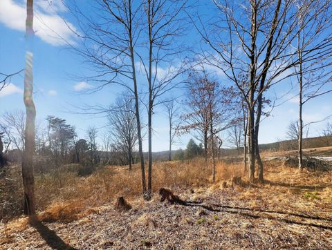 Tiny photo for 56 11th Street, Tracy City, TN 37387 (MLS # 1529465)