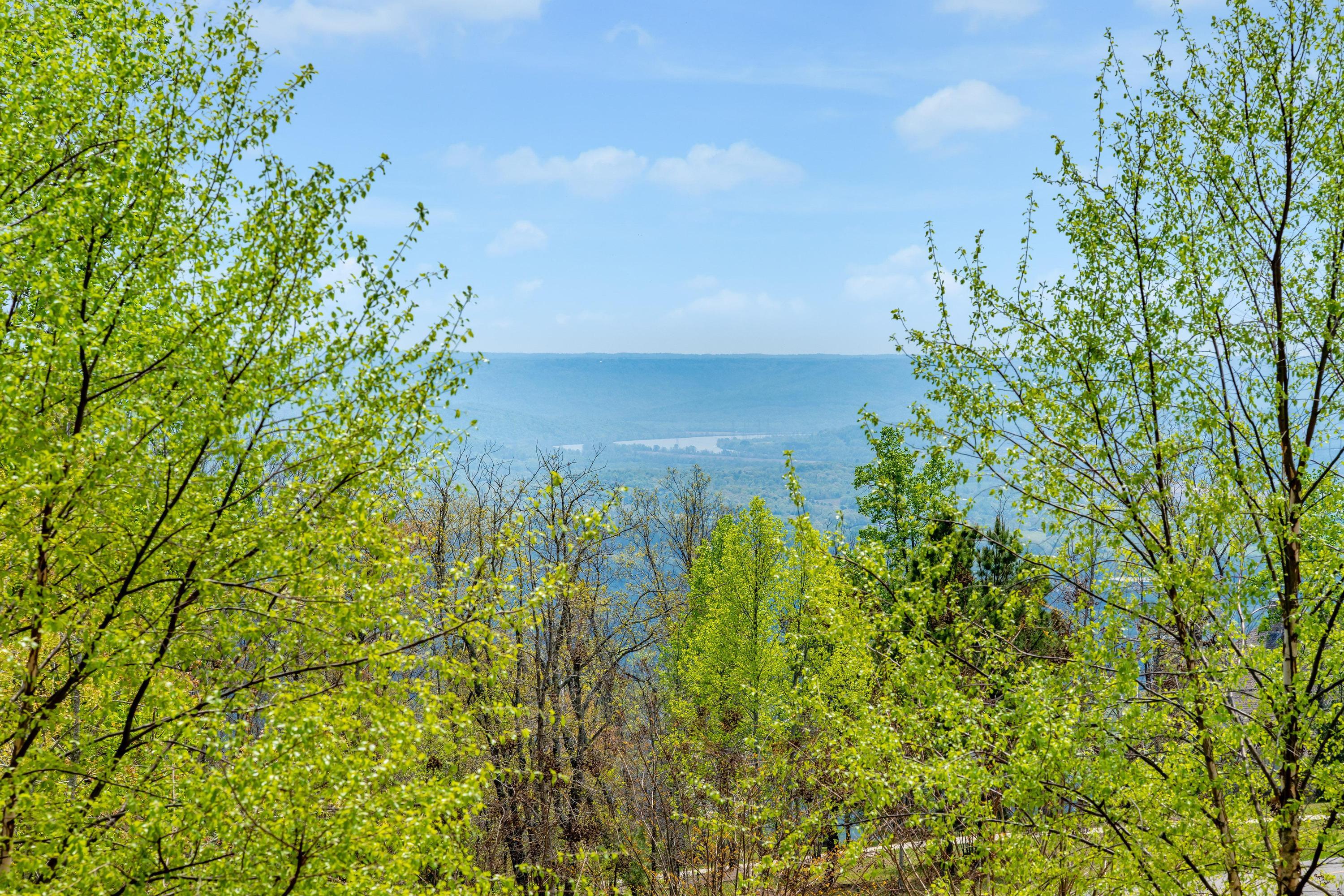 135 Sunrise Circle, Jasper, Tennessee image 3
