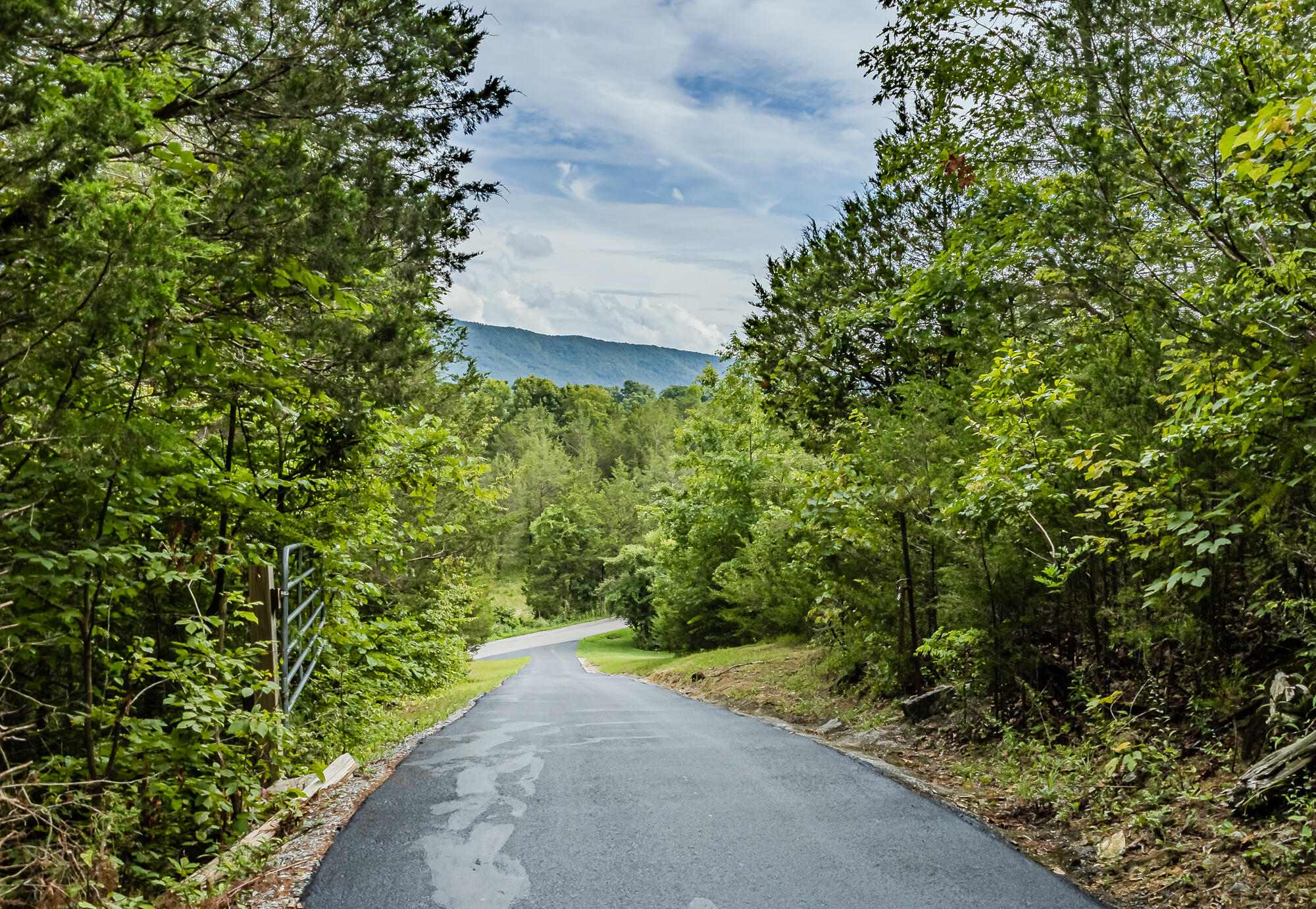 151 County Road 536, Etowah, Tennessee image 38