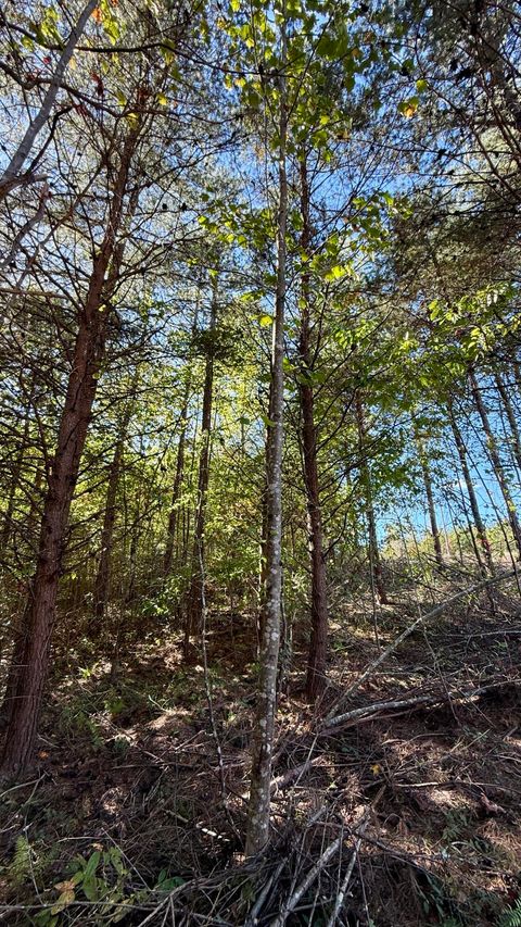 Photo of 00 Owl Hollow Road, Palmer, TN 37365 (MLS # 1522227)