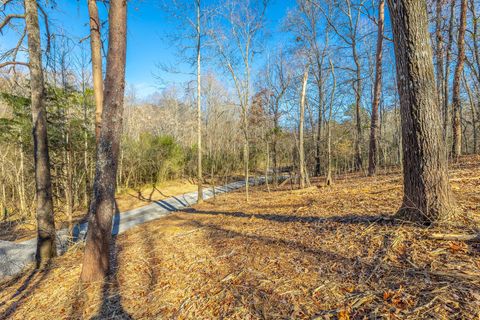 Photo of 6308 Jared Lane Lane, Harrison, TN 37341 (MLS # 1526408)